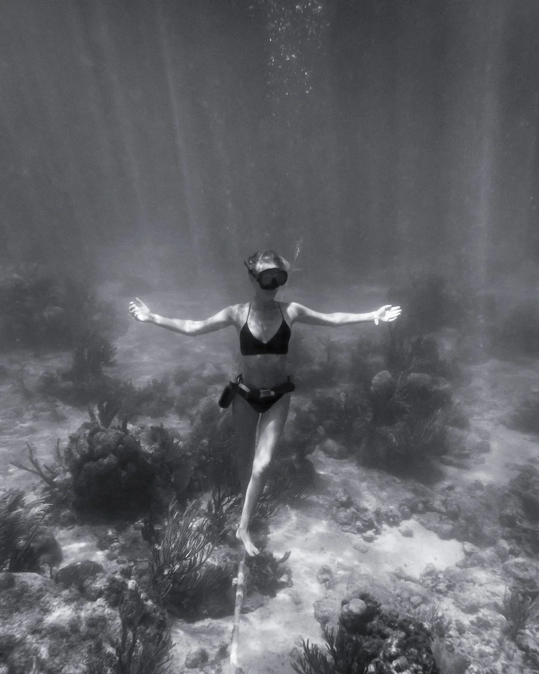 hey everyone, a little (re)intro as it might have been a while! 👋🏼

if you&rsquo;re new here (or forgot who I am because I disappeared from posting for a while there) 
i&rsquo;m Kat &mdash; a marine biologist, shark ecologist &amp; ocean-obsessed h