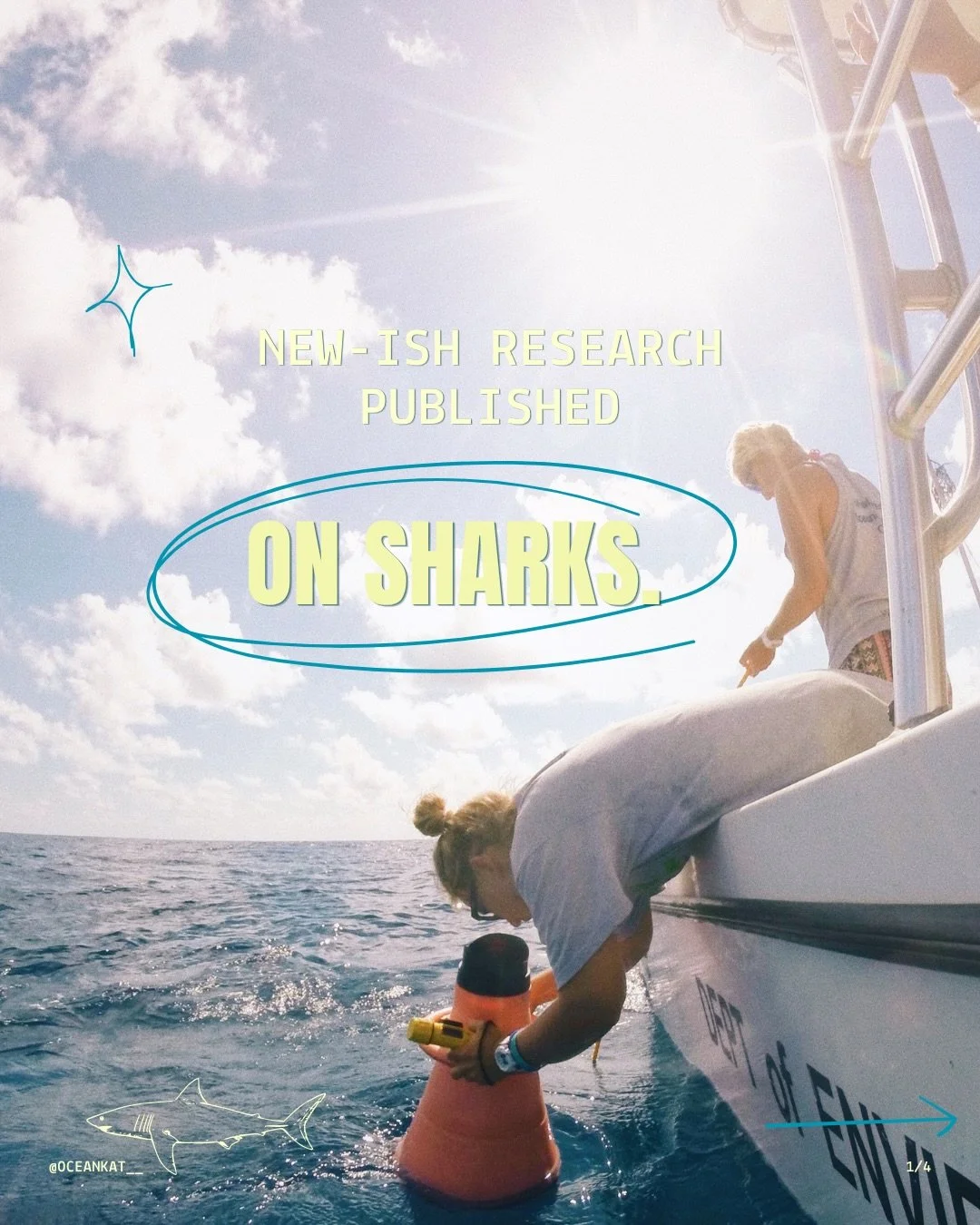 deserving of a permanent spot on the feed 🎞️

✨ some shark research ✨

&rarr; the research I contributed to during my Master&rsquo;s thesis has been published in a scientific journal! 

a huge thank you to the incredible team who led and continued t