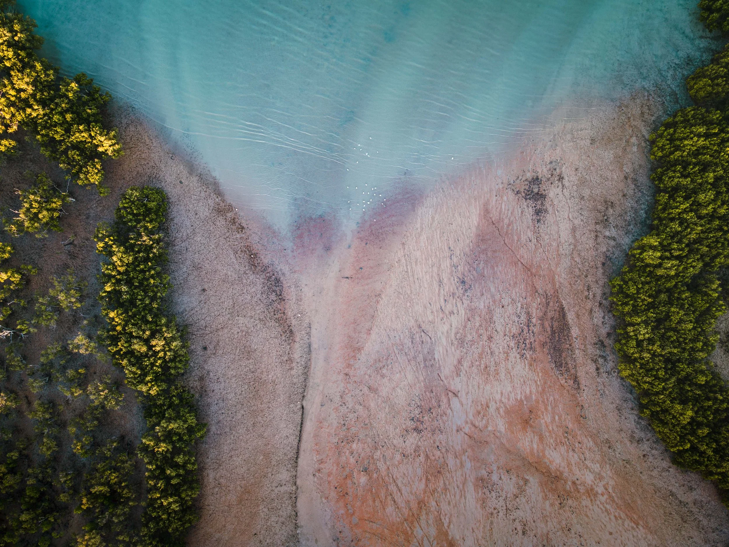 Broome1.jpg