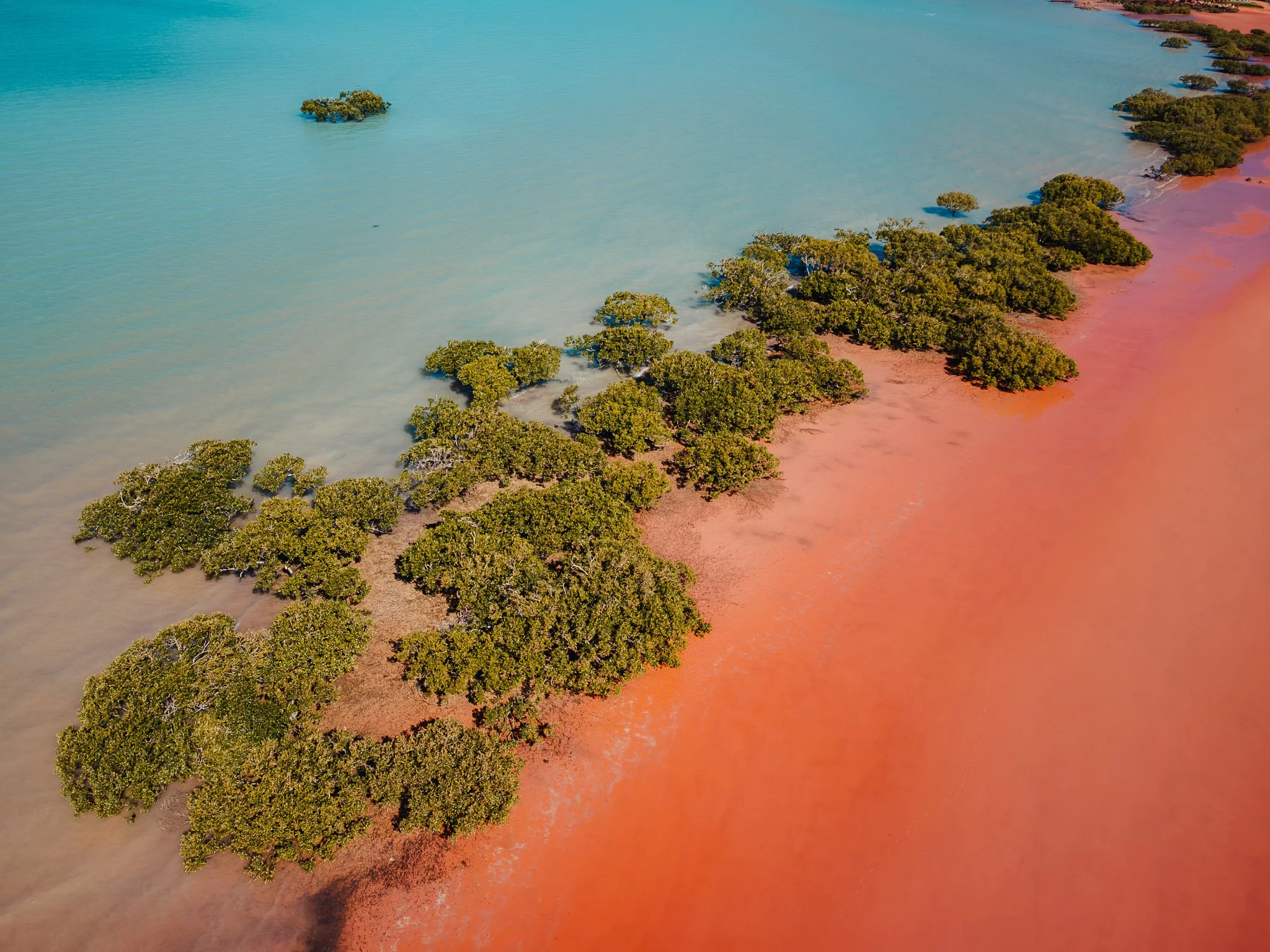 broome-1.jpg