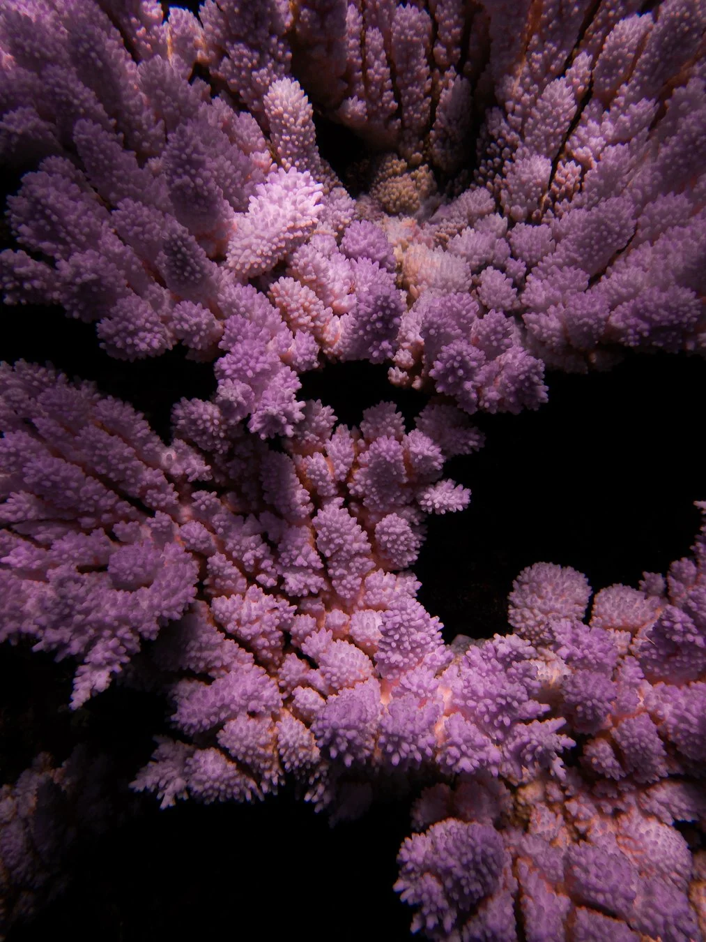 GBR-2025.04-16.jpg