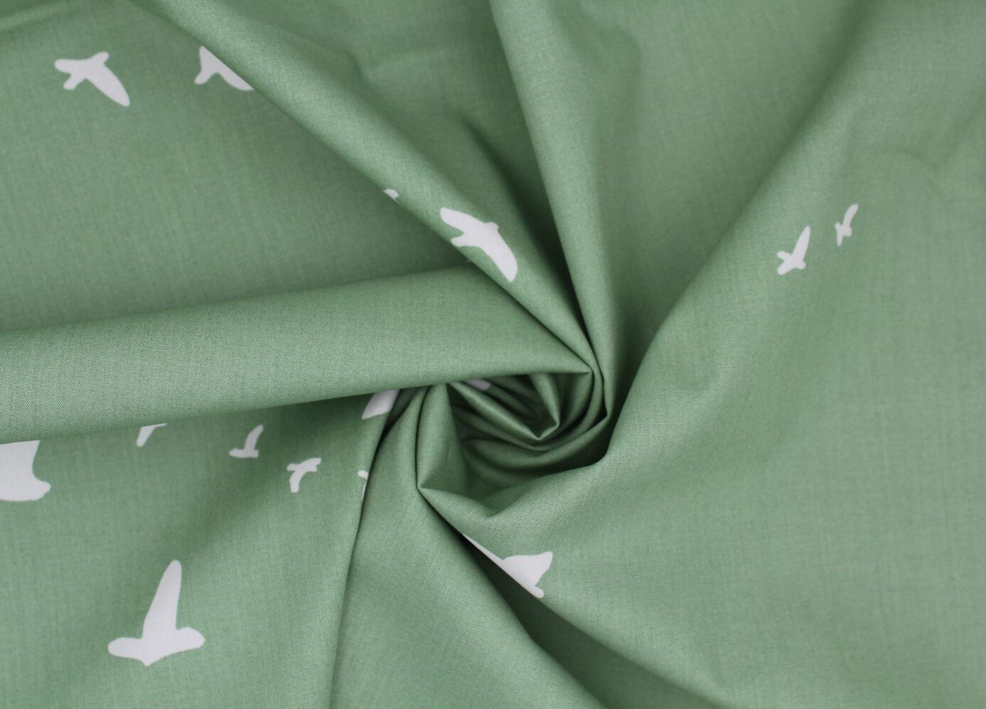 Aspen Flight Birch Fabrics .jpg