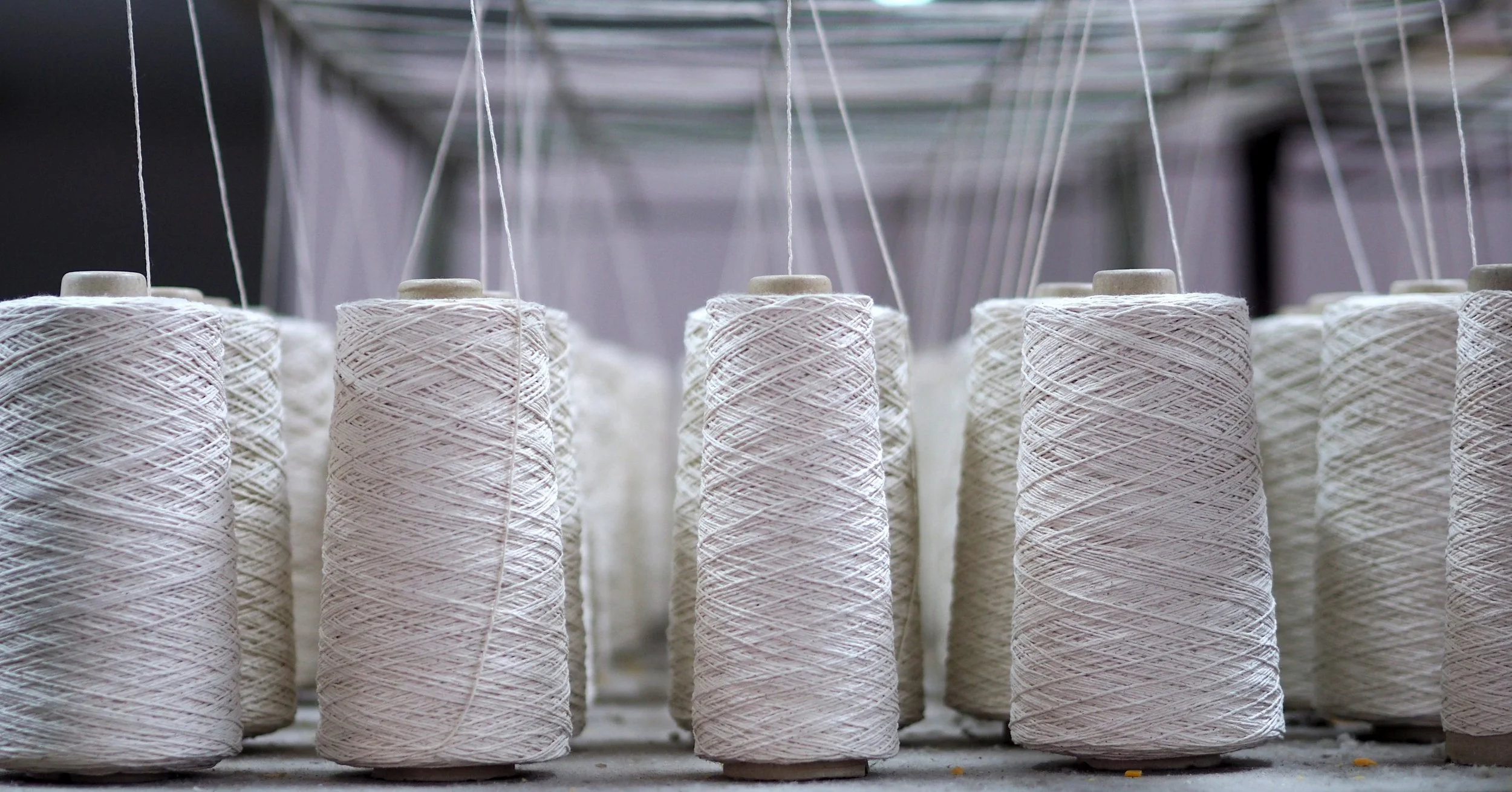 Organic fabric: Part II of the GOTS certification