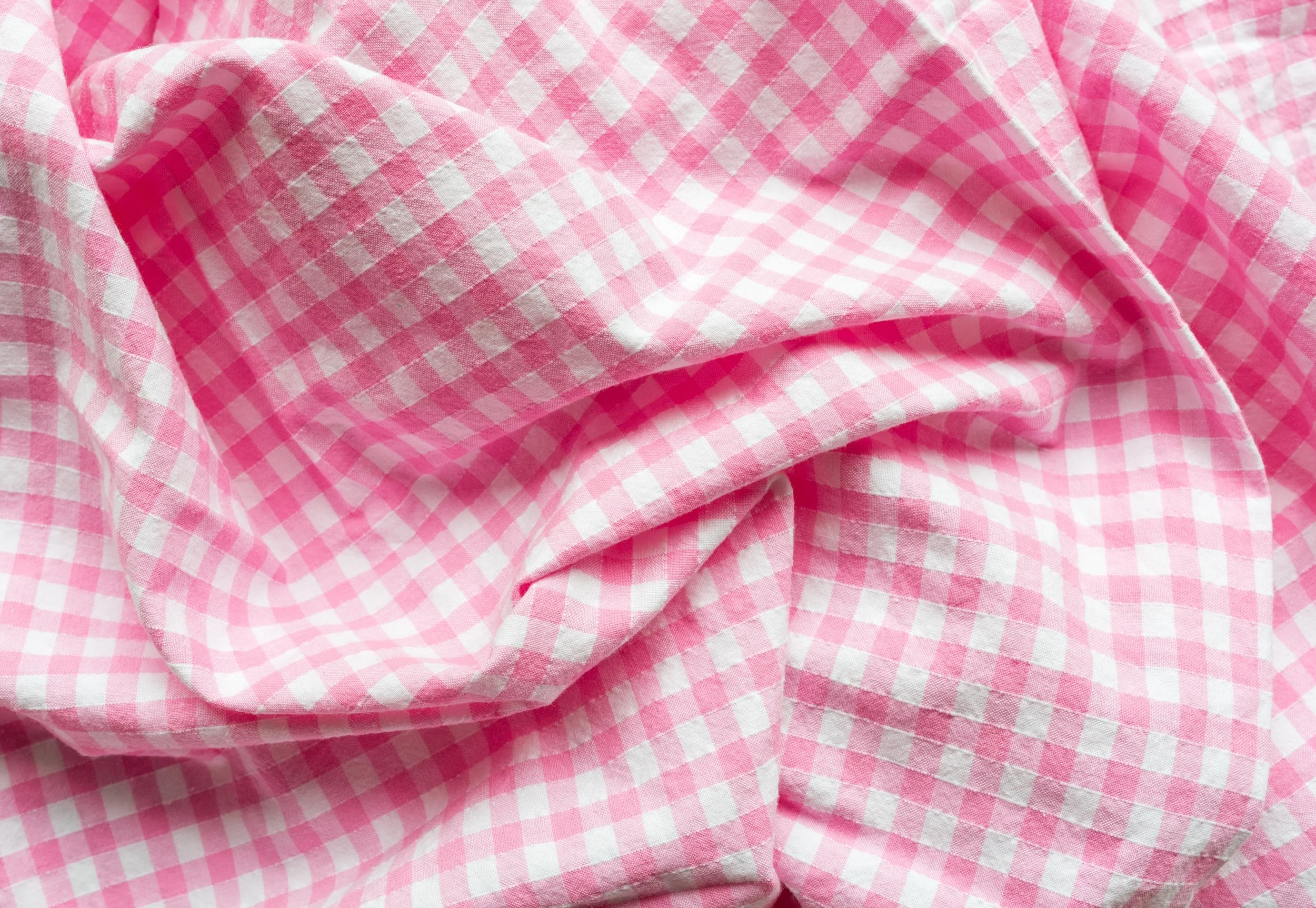 vichy gingham fabric.jpeg