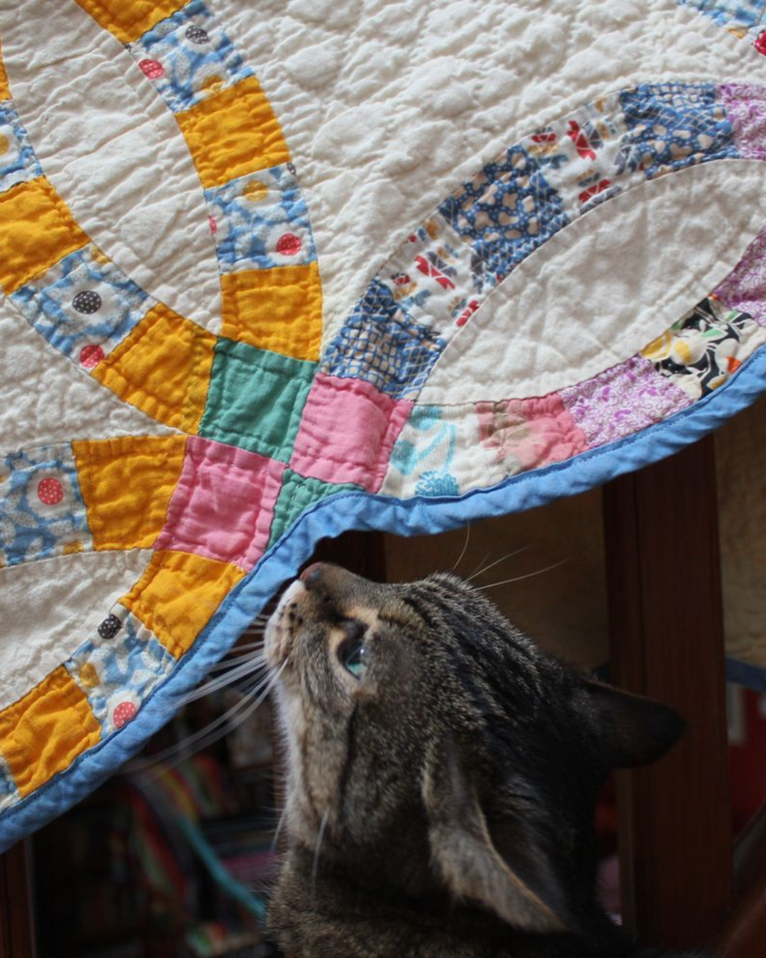 Patrimoine de patchwork