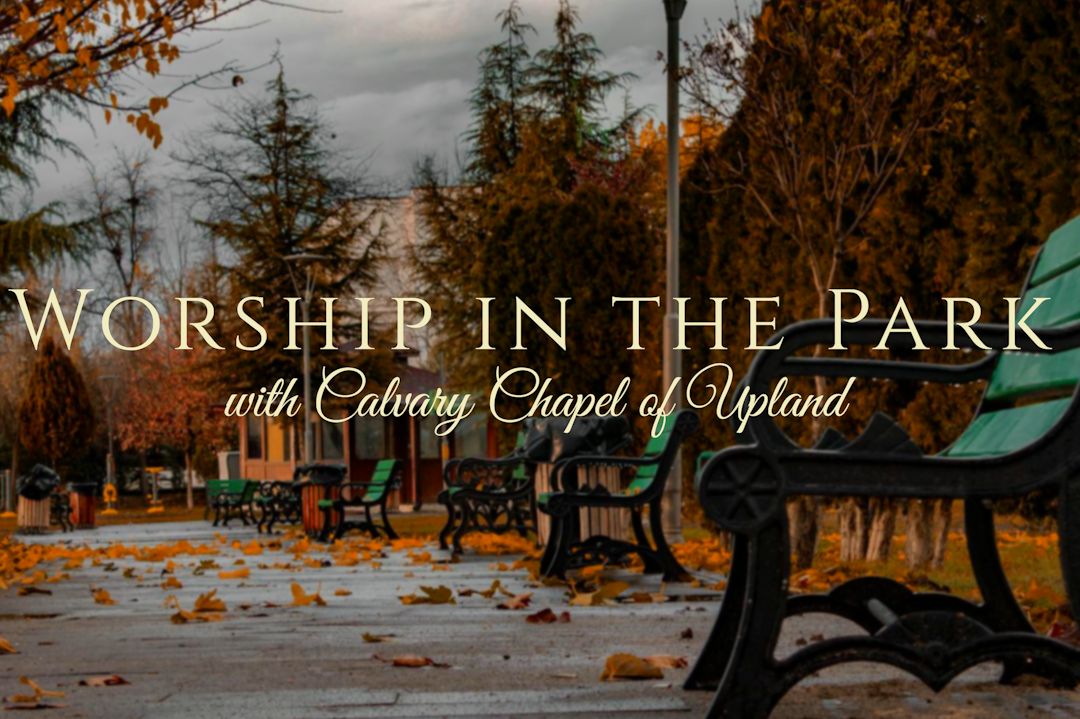 WORSHIP IN THE PARK
