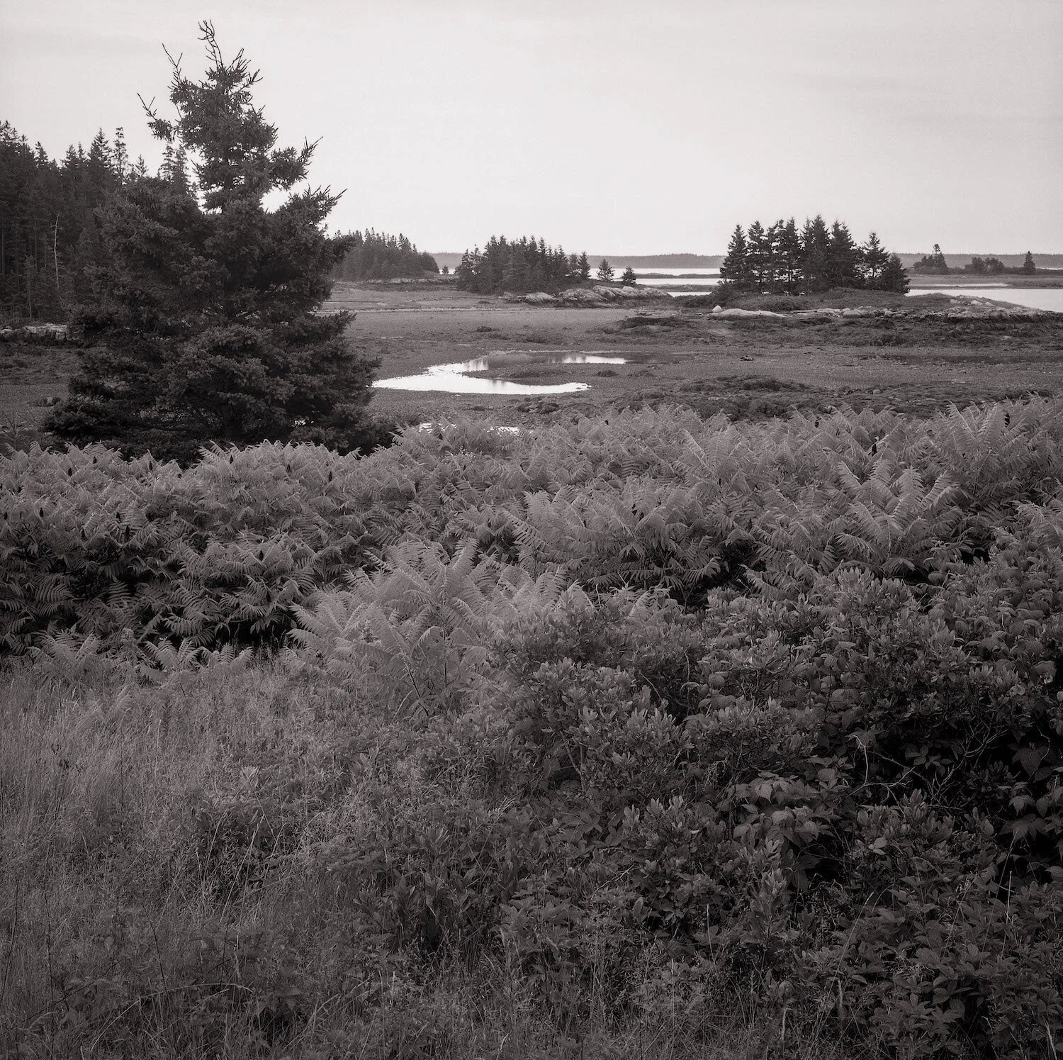 Eaton Island