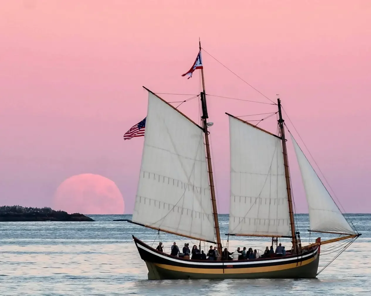 Pink_Moon_Sharon-Catalano_2021.webp