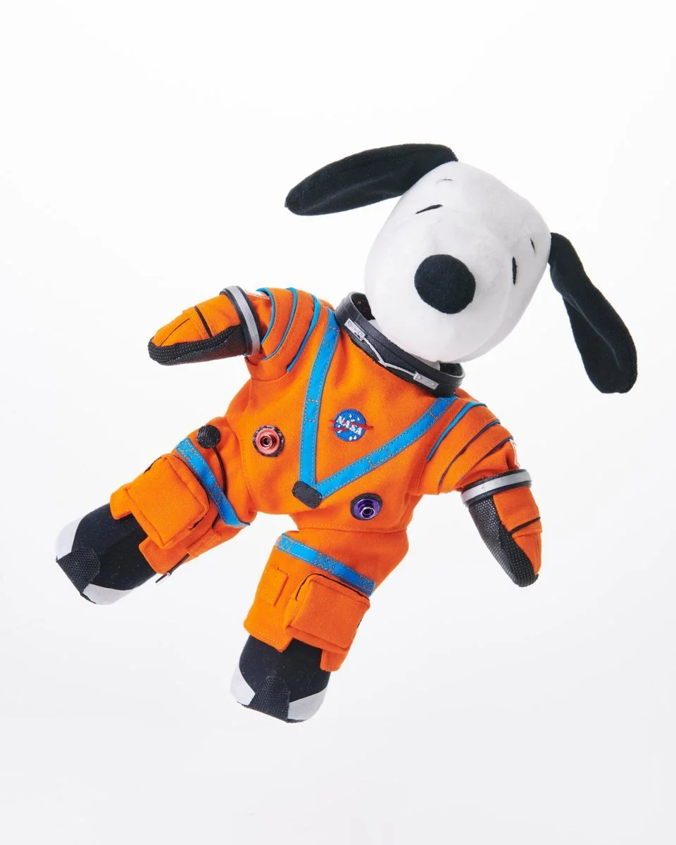 21-12 Stofftiere im Weltraum