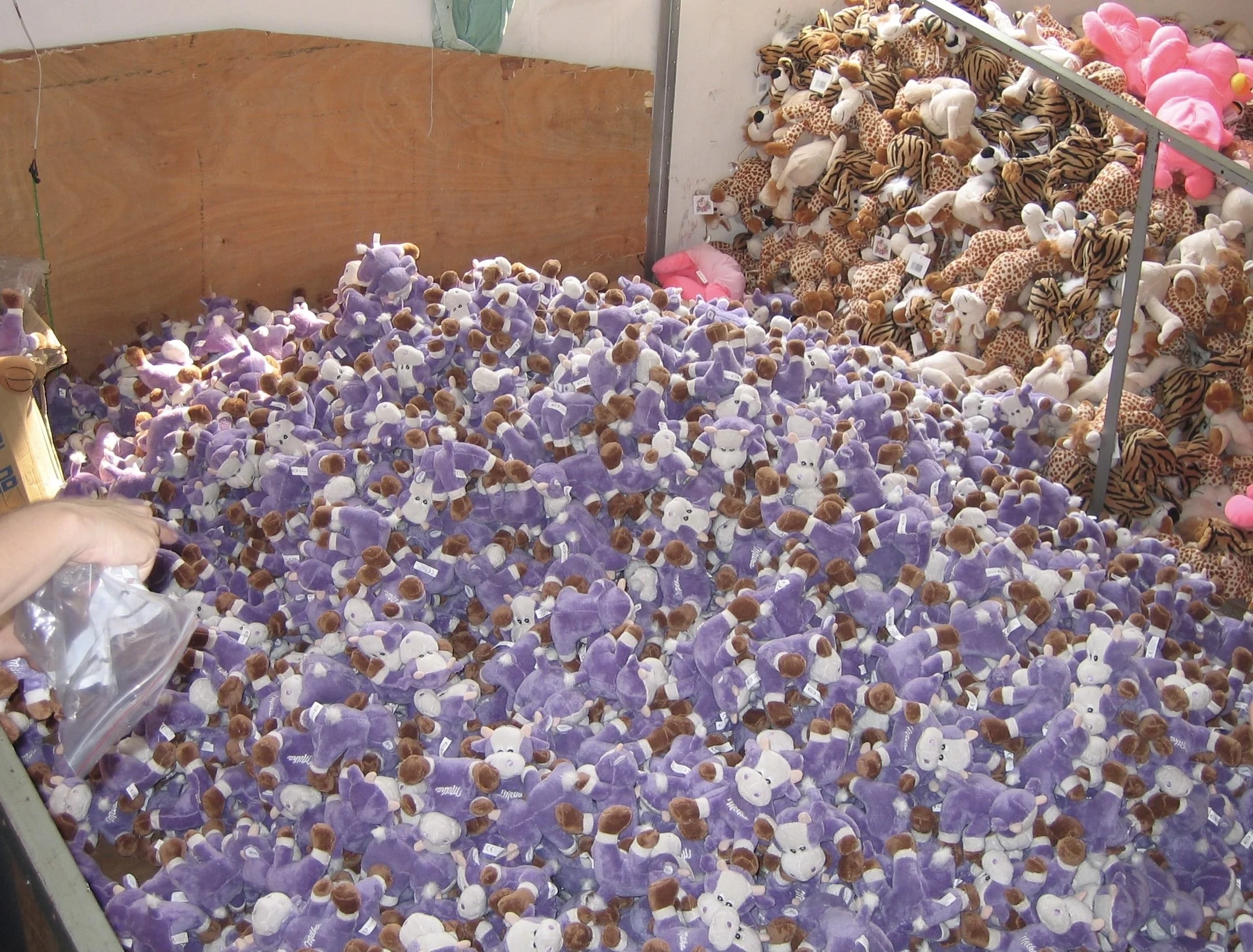 Milka Kühe Kraftfoods cows 8000 Kopie.jpg