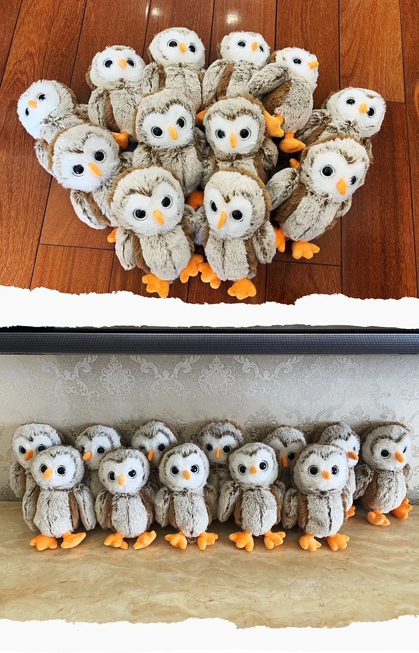 Viele gleich aussehende kleine Plüsch-Eulen in zwei Reihen, die auf unterschiedlichen Oberflächen stehen.