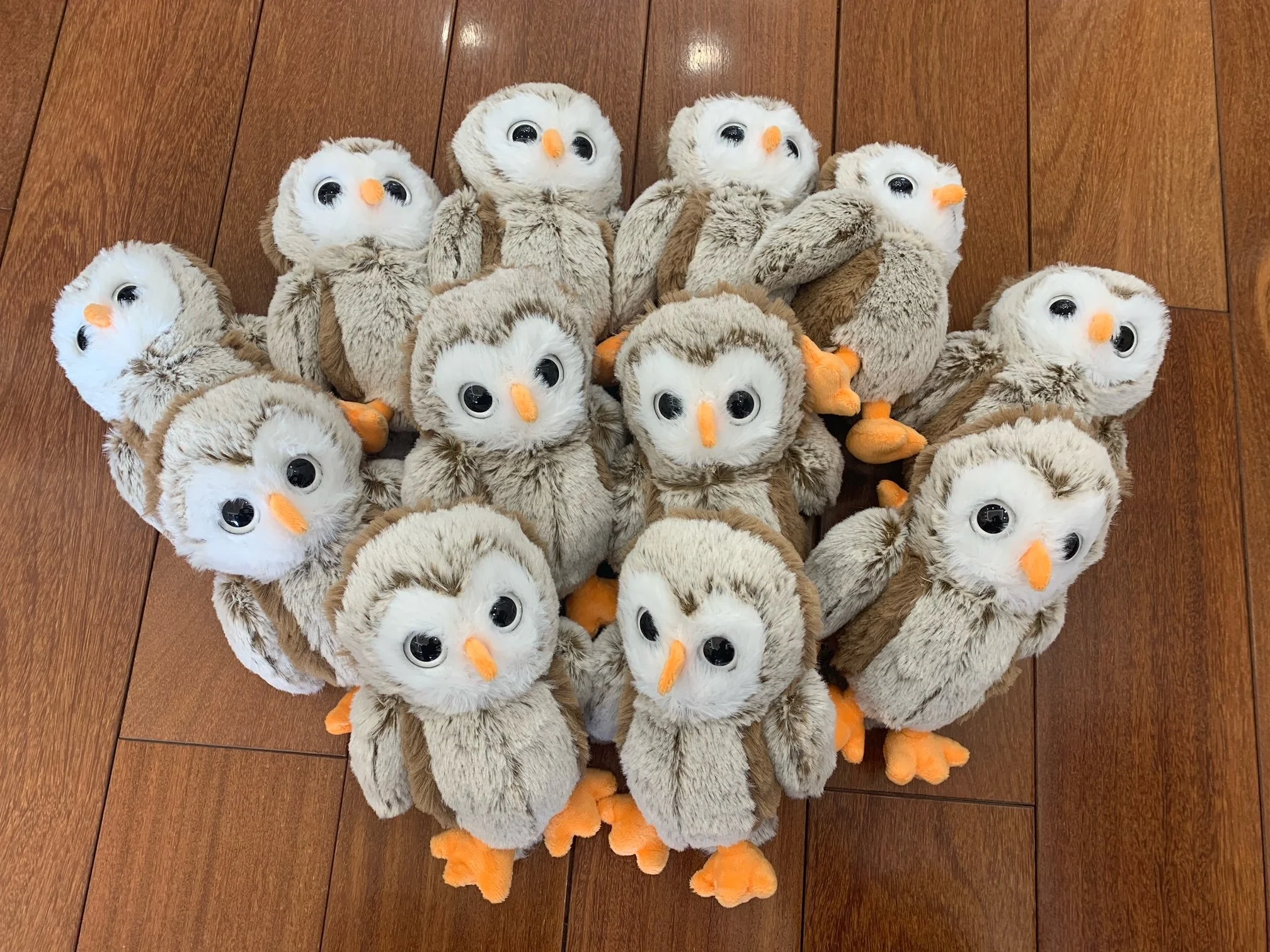 Mehrere plüschige Eulenspielzeuge mit großen schwarzen Augen, weißen Gesichtern, orange Schnäbel und Pfoten, auf einem Holzboden