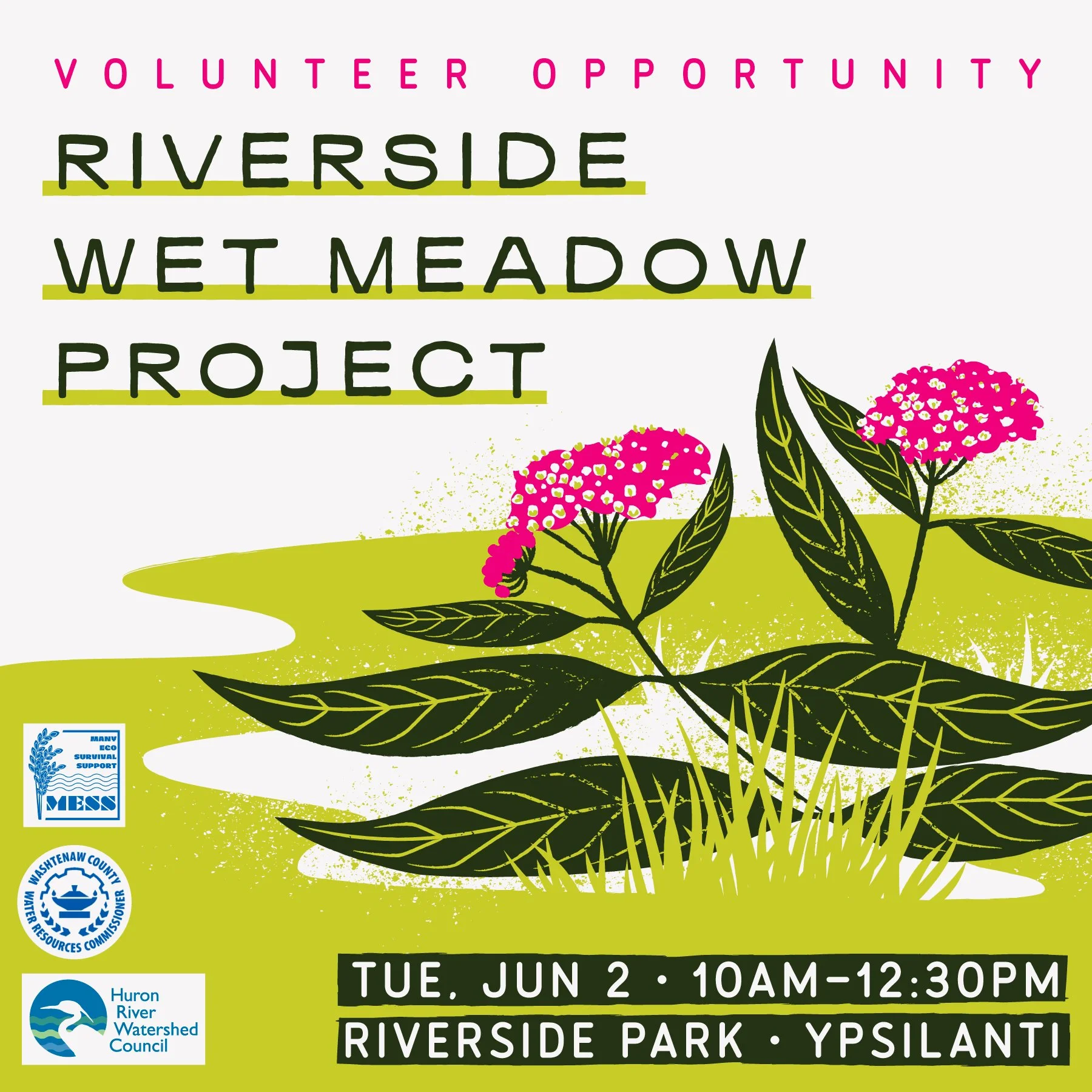 Flyer promoting a volunteer opportunity at Riverside Park featuring illustrations of pink swamp milkweed flowers and green leaves.