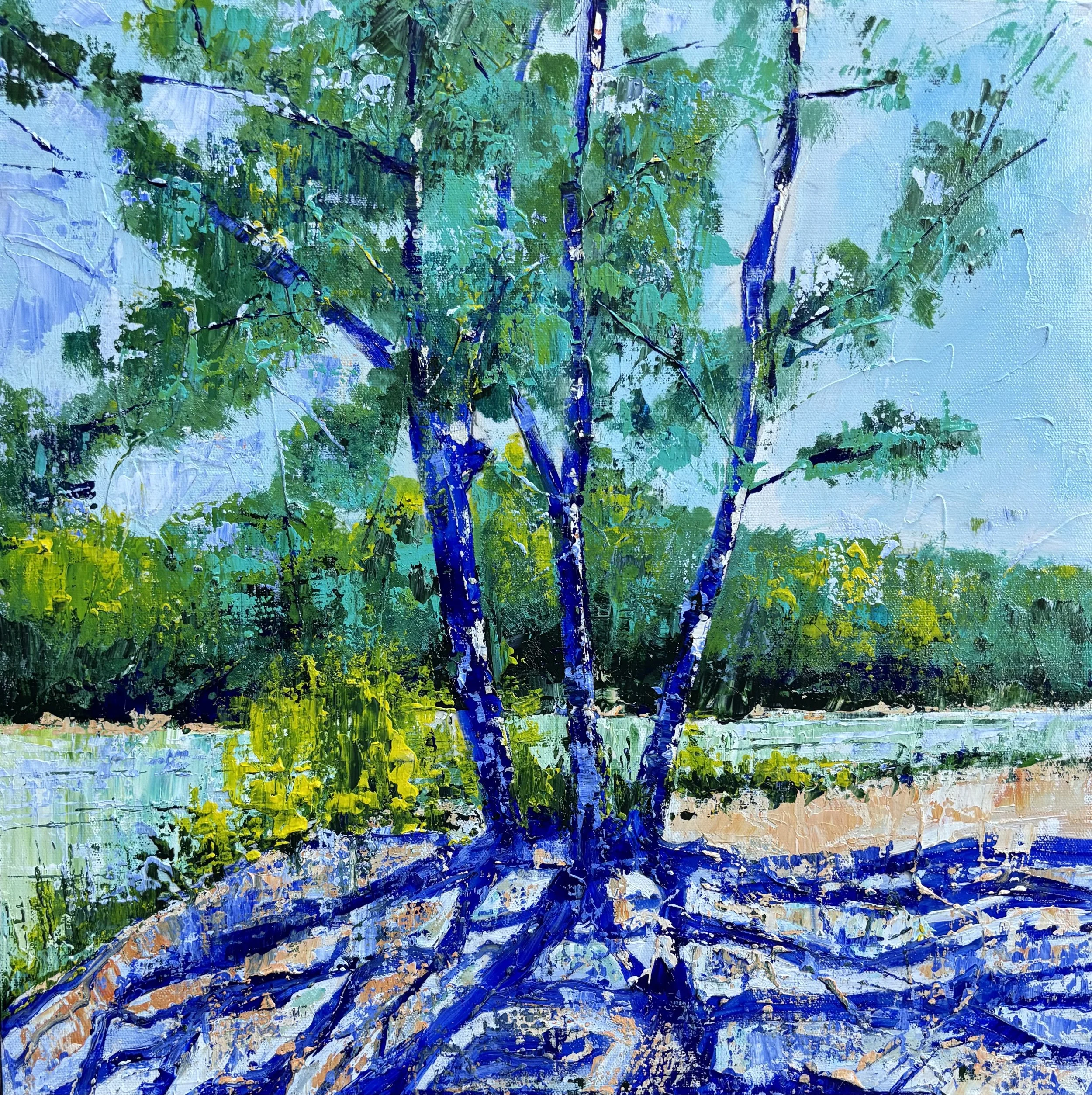 L’ombre des pins | 50x50 | £2025