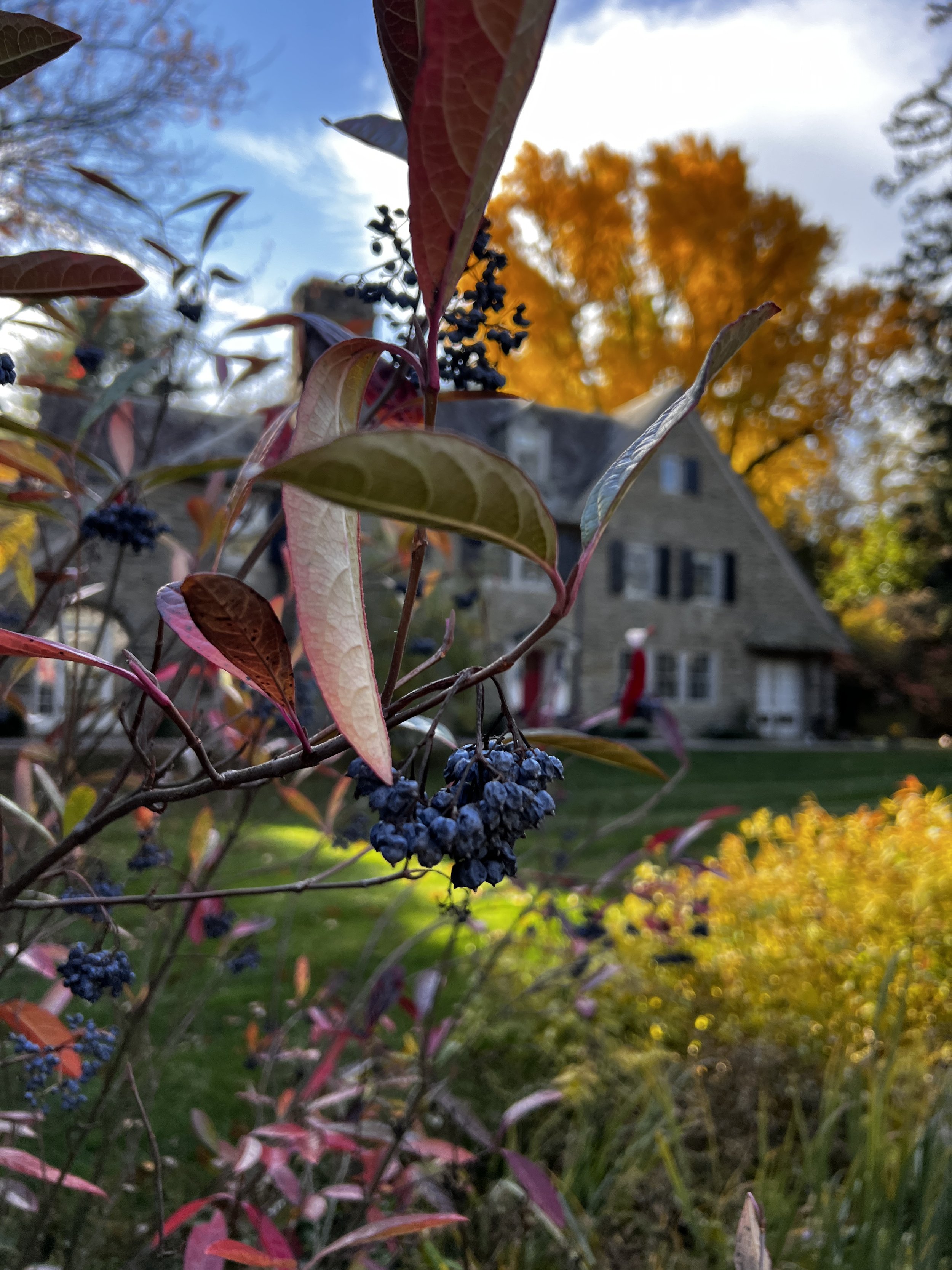 How Much Will My Landscape Design and Installation Cost?  5 Questions to Ask Before Starting a Landscape Design and Installation Project on the Main Line