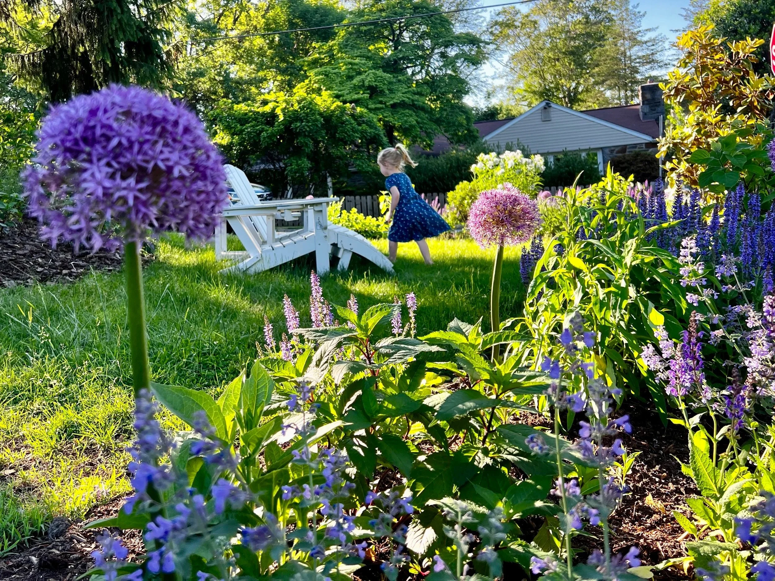 Main Line Landscape Design Trends: Blending Classic Gardens with Modern Living