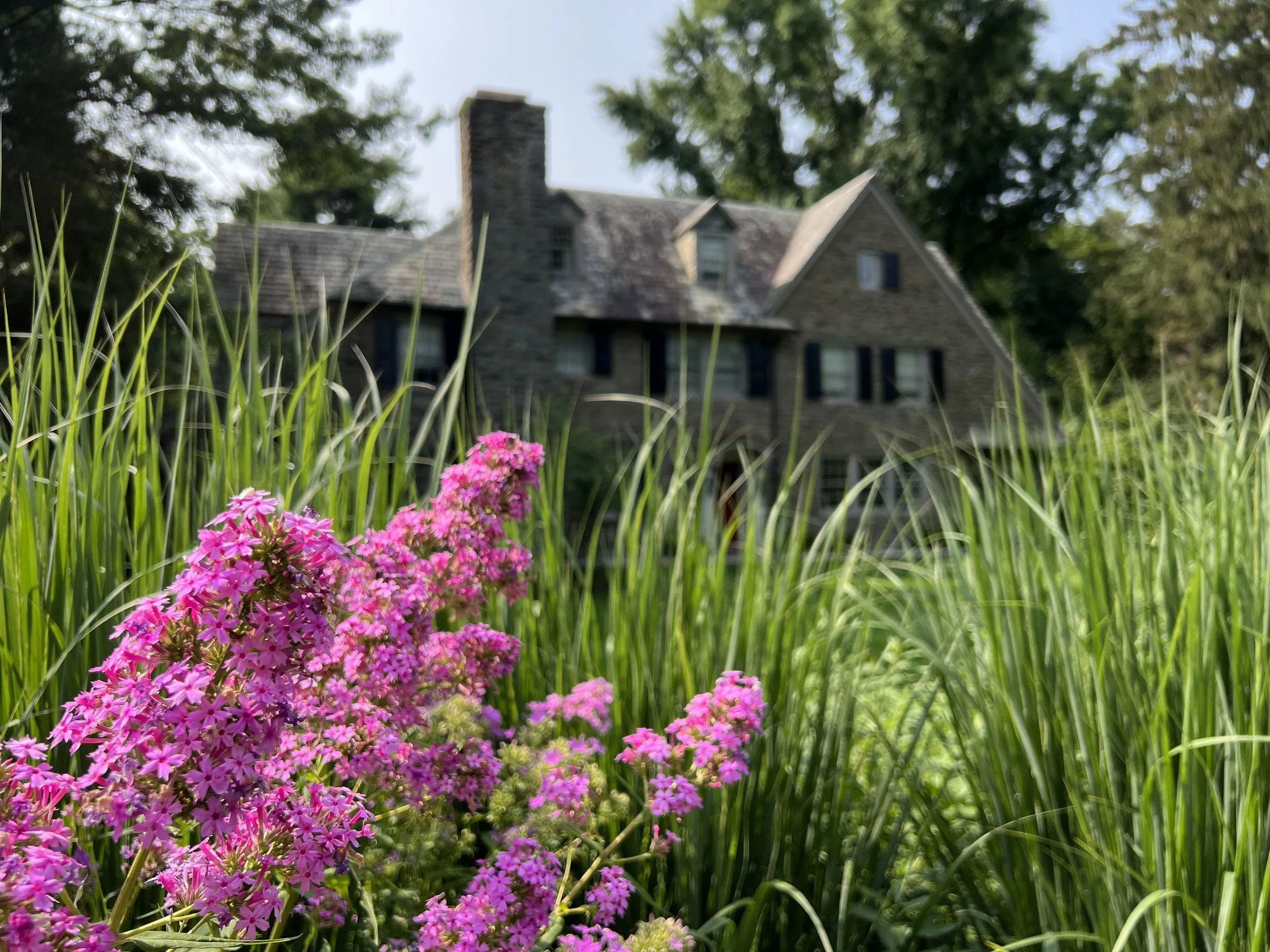 How to Start a Custom Landscape Design for Your Main Line Home