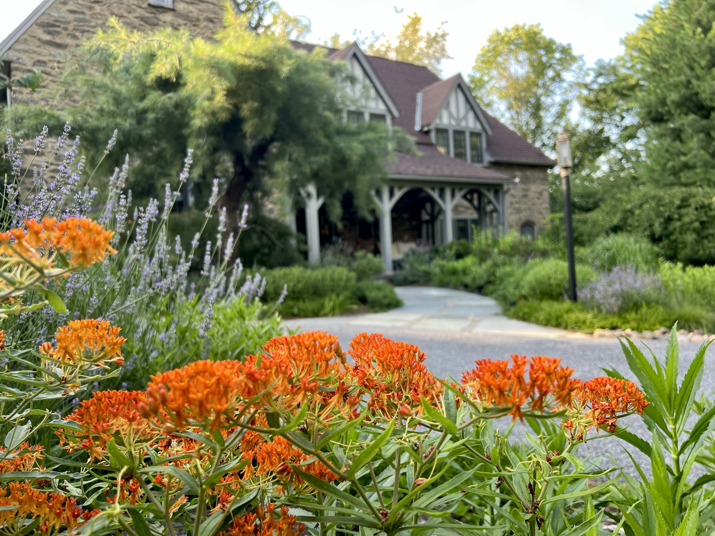 Take a Fresh Look at Your Landscape This Summer