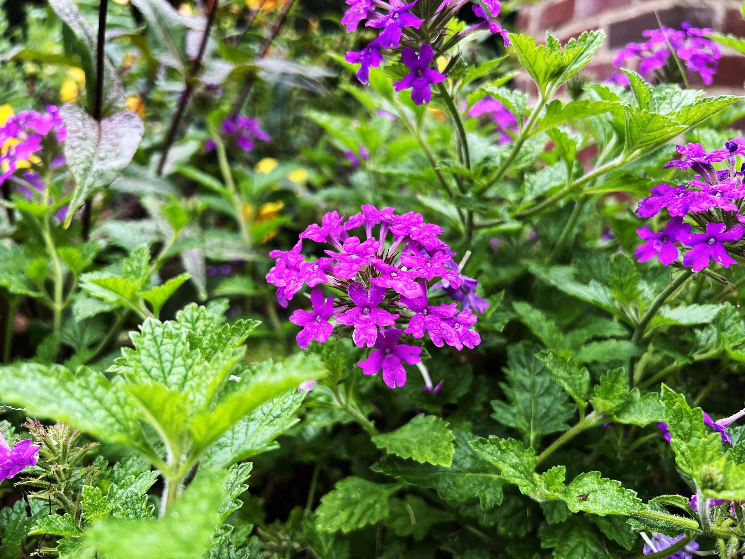 After a Wild Week, It's the Perfect Time to Reimagine Your Landscape