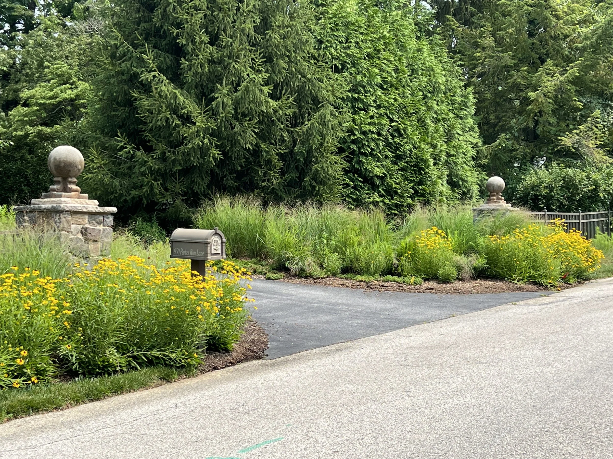 Summer textures in Villanova