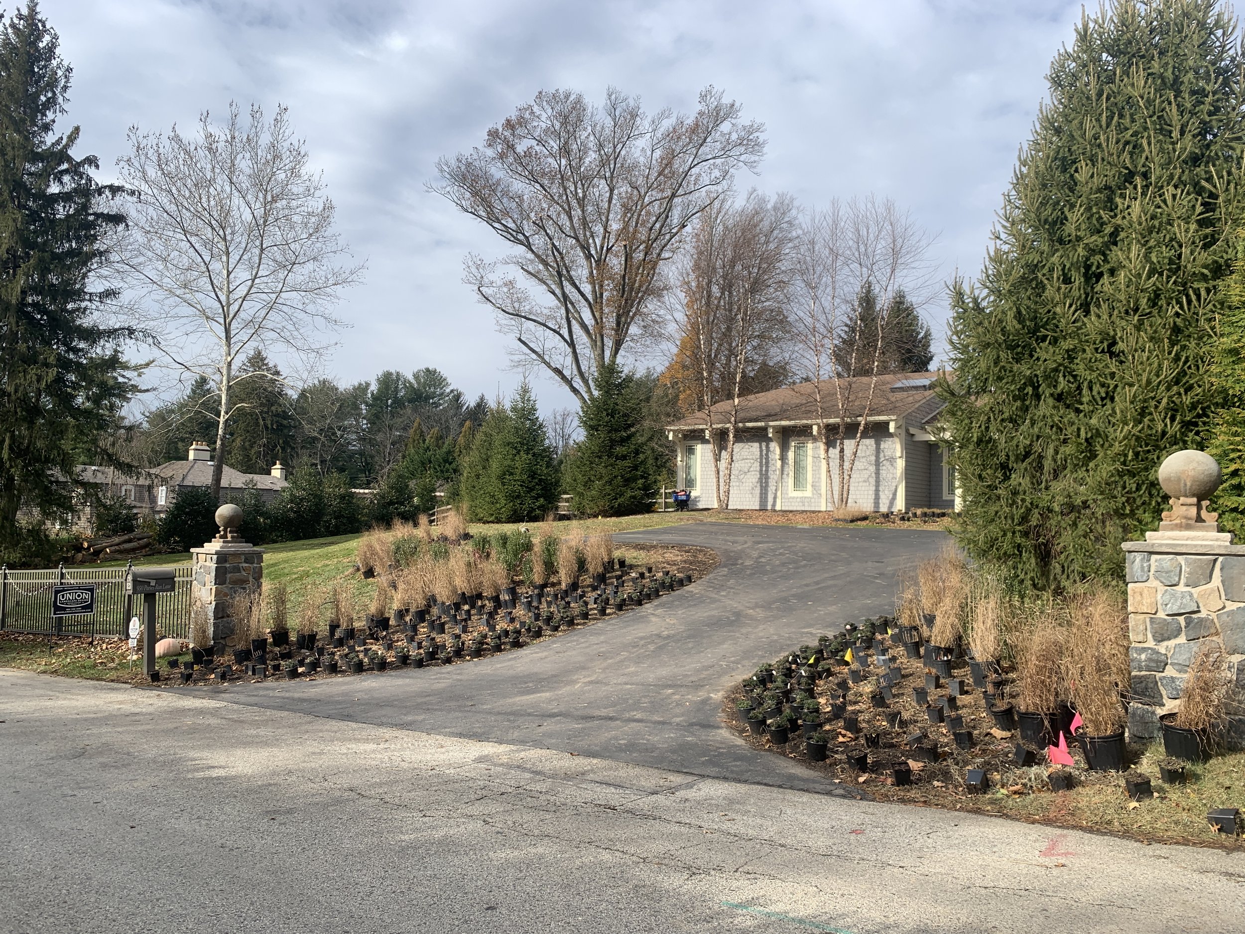 Winter plantings for spring gardens