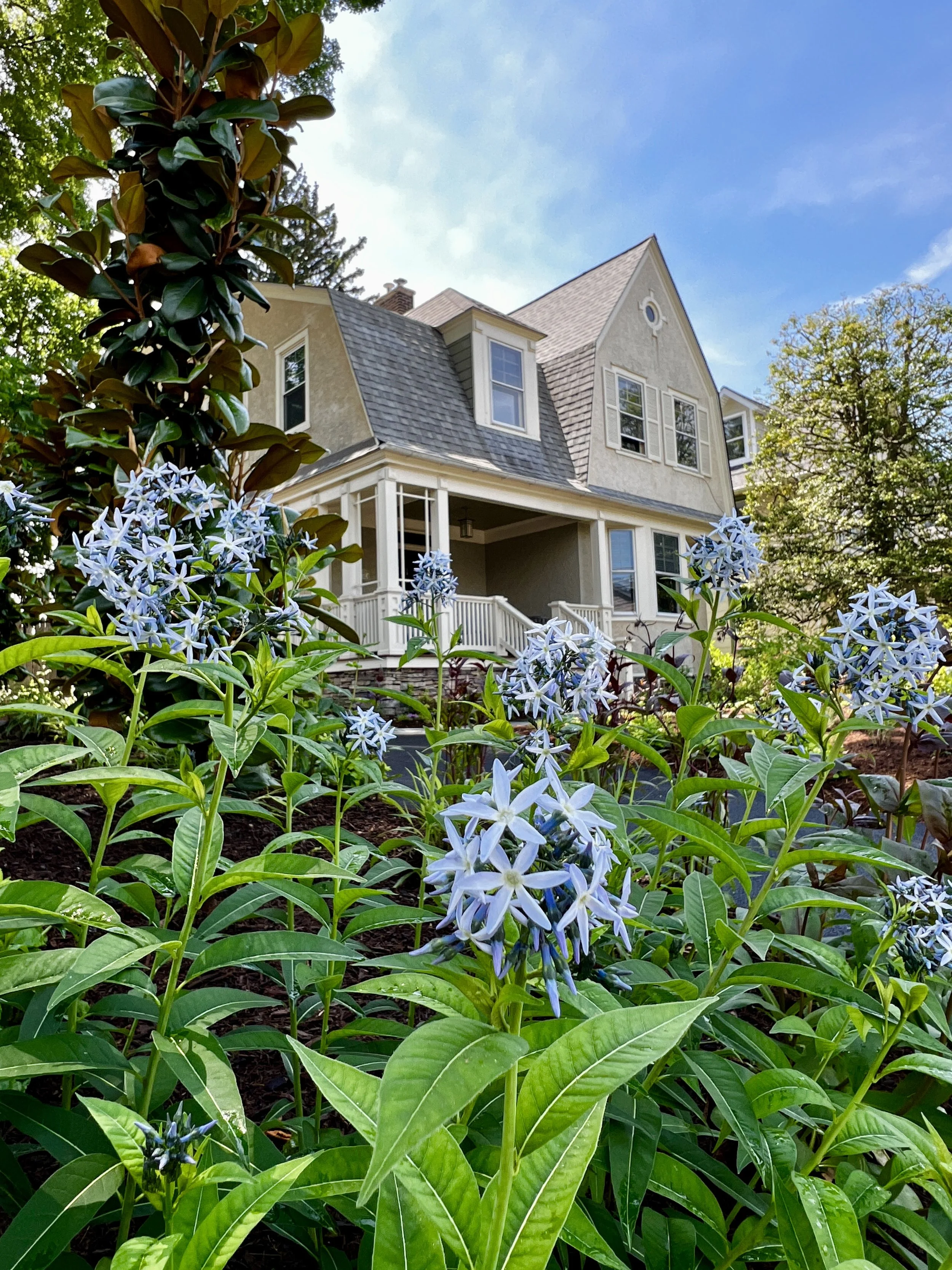Front Door Perspective (2).JPEG