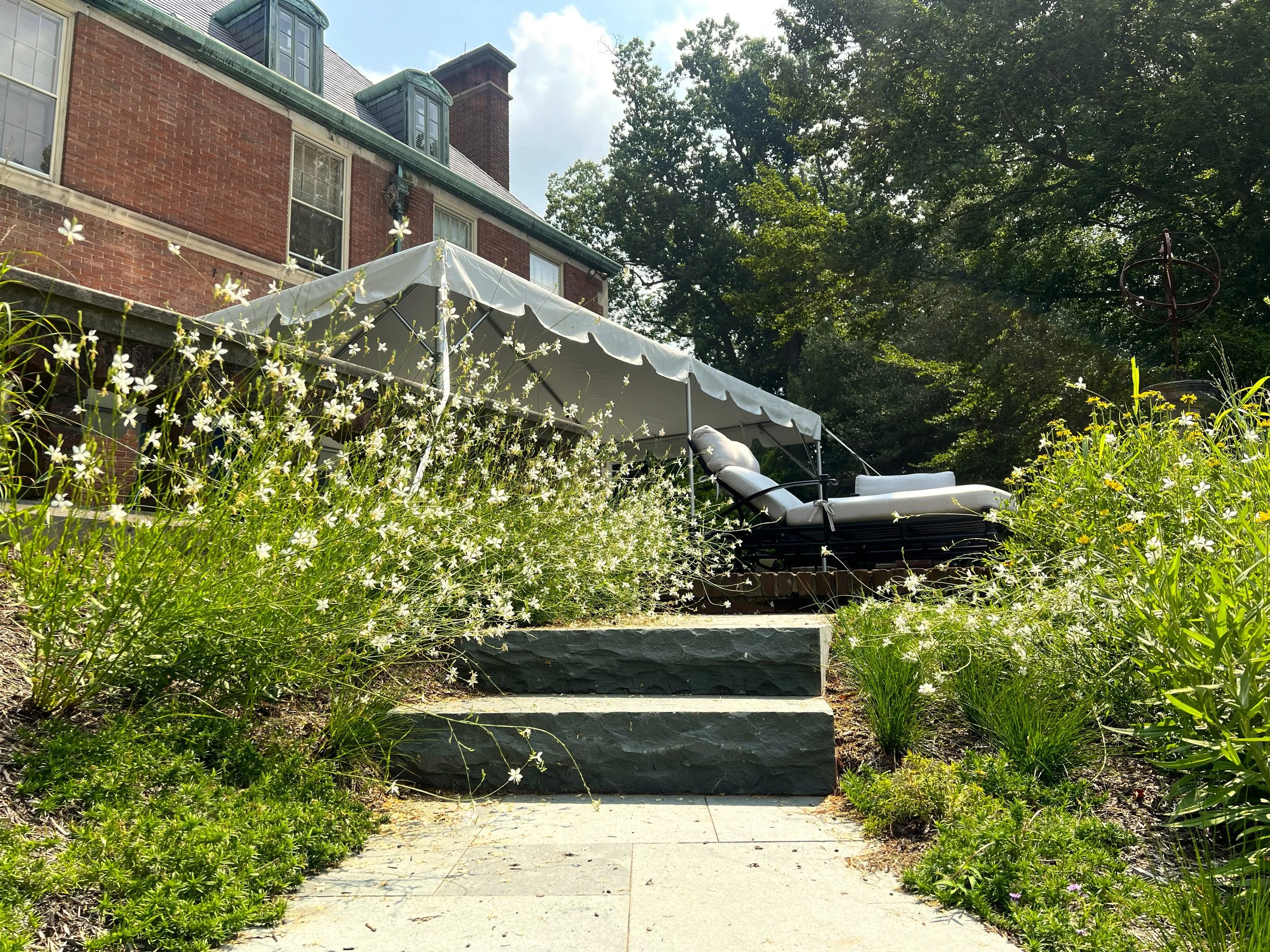Top Steps and Gaura.jpg