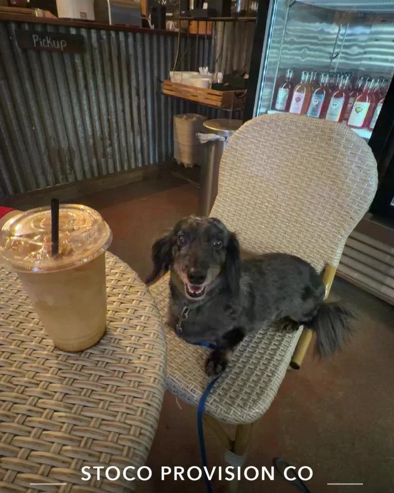 Hello Monday!!☀️The dog days of summer are here!!

Stop in today and grab one of our June specials! In a rush? Don&rsquo;t forget to download our StoCo app and order online!!

See ya soon!🎉