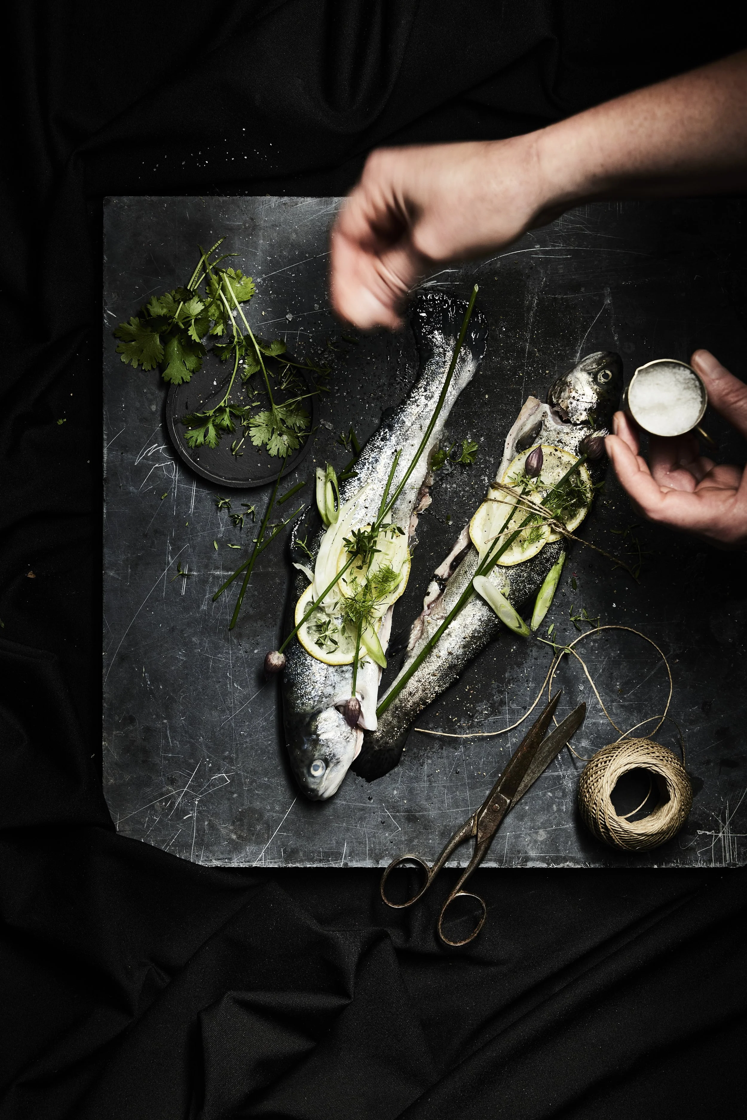  Picture: Beeldcollectief Portfolio work   