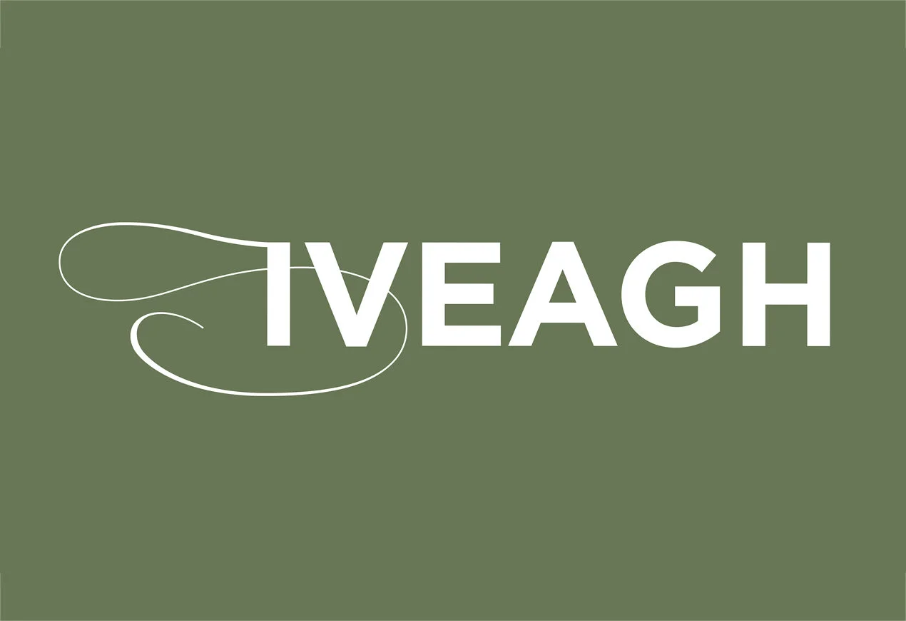 Iveagh – Creating a challenger brand in wealth management