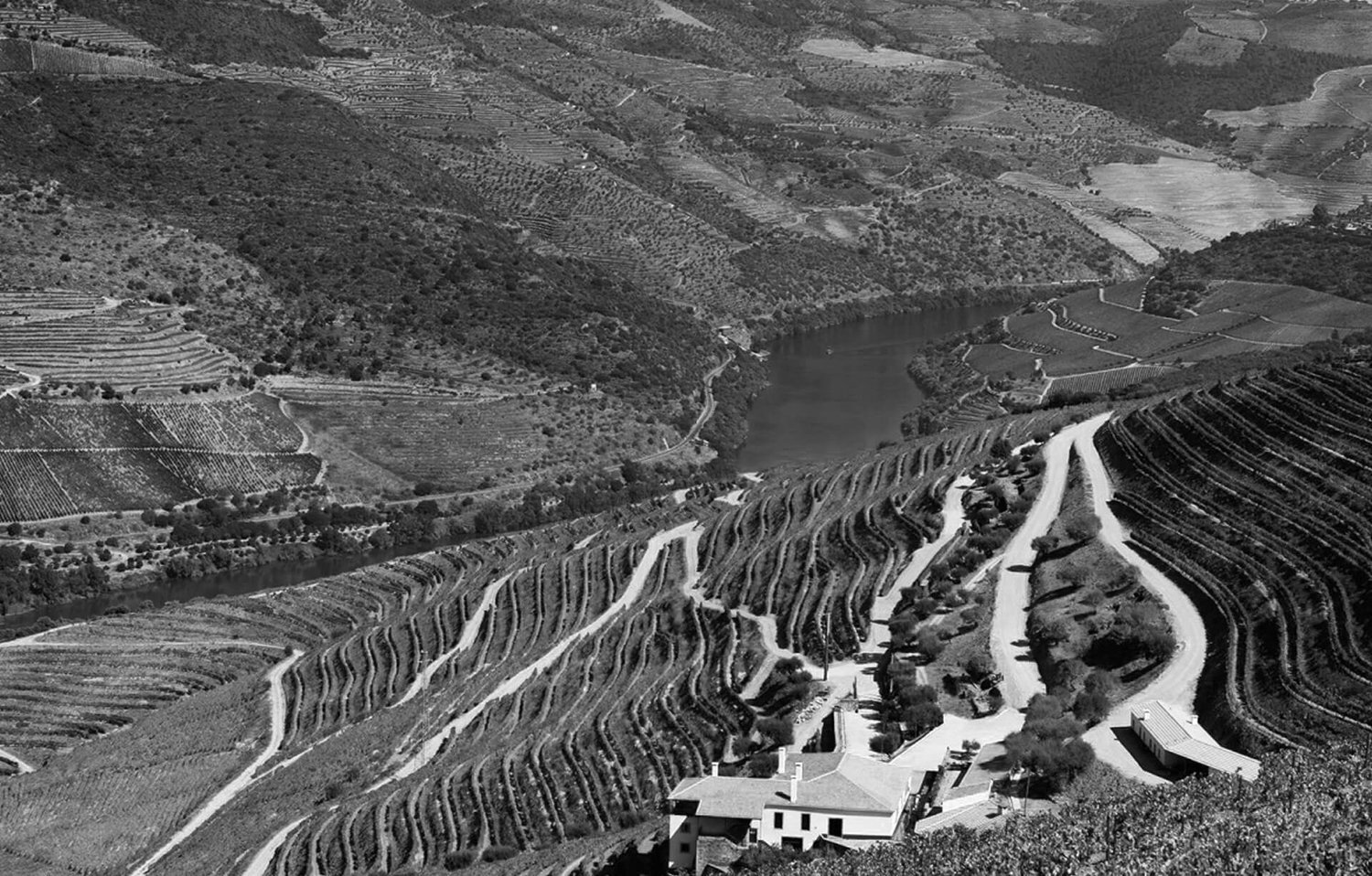 manifest-wine-packaging-designers-london-churchills-douro.jpeg