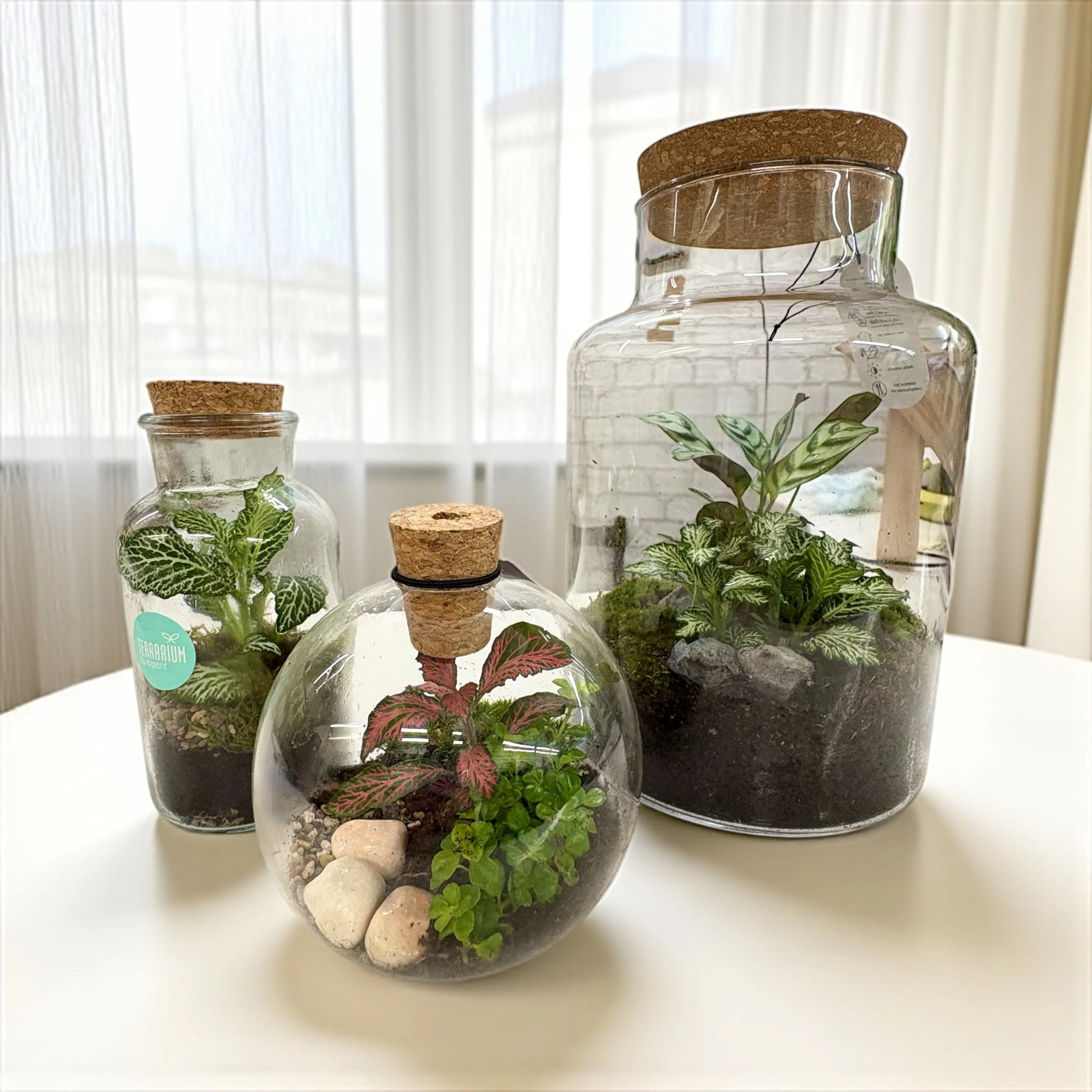 terrariums