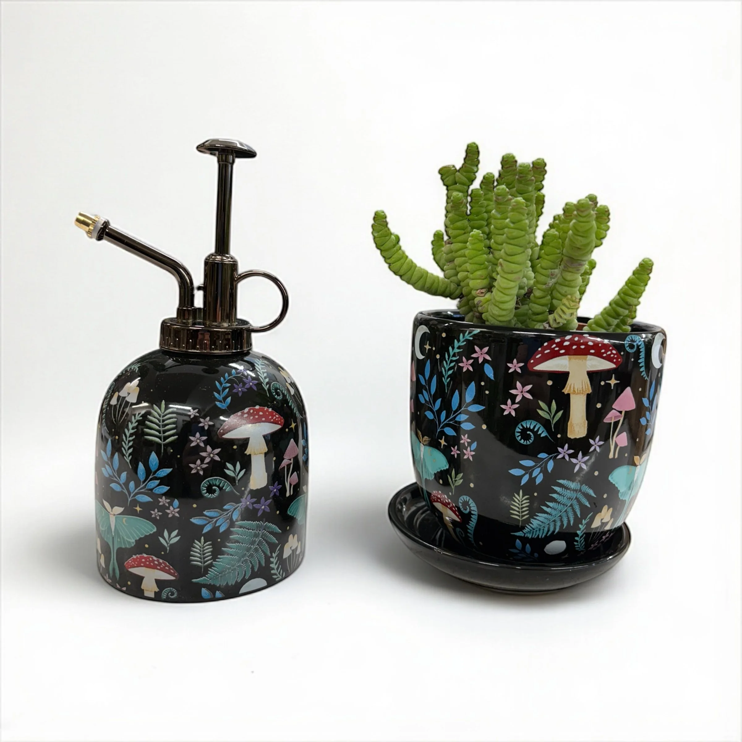 Plant mister & pot