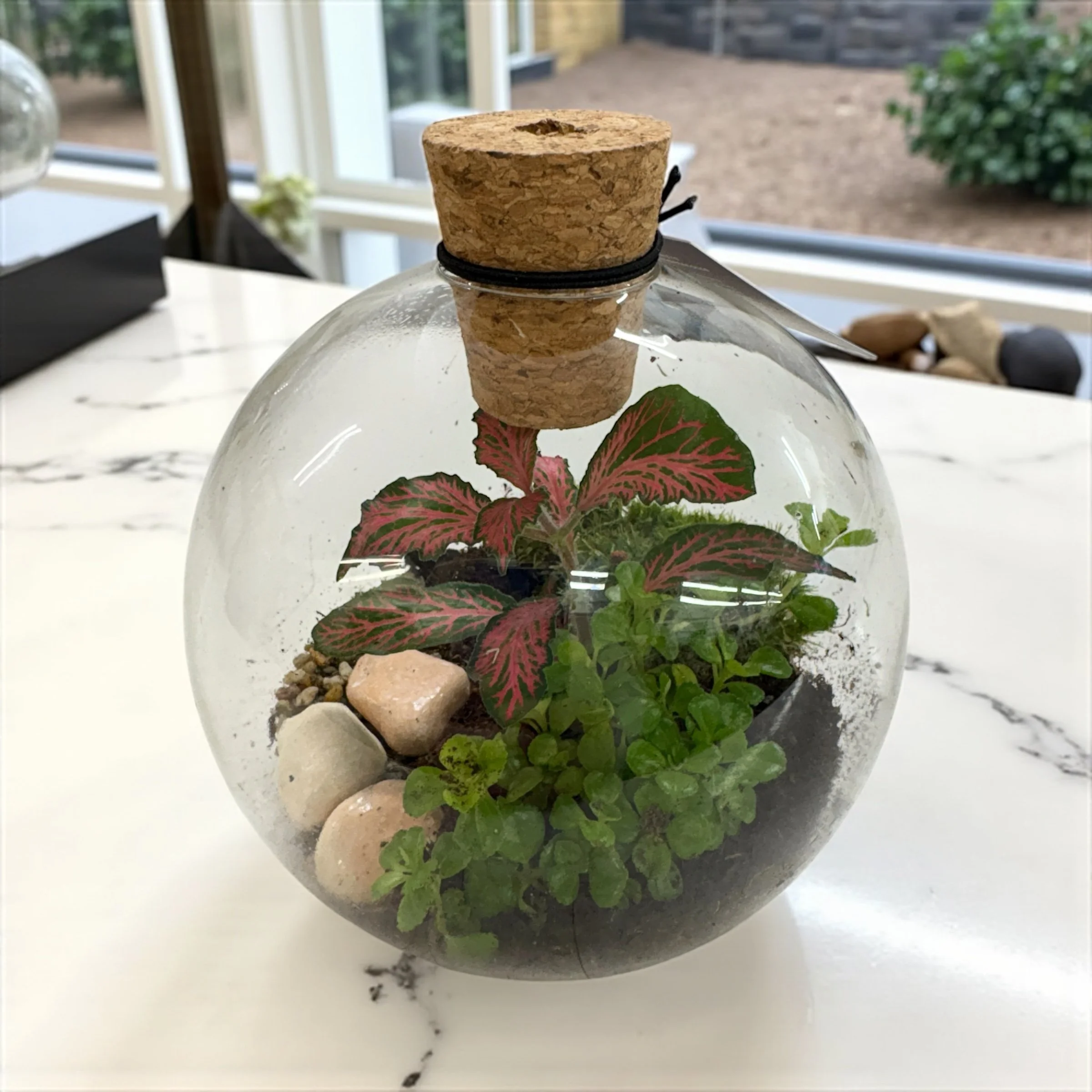 bowl terrarium