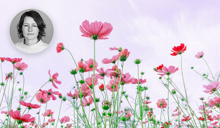 Vårens utropstecken (!)