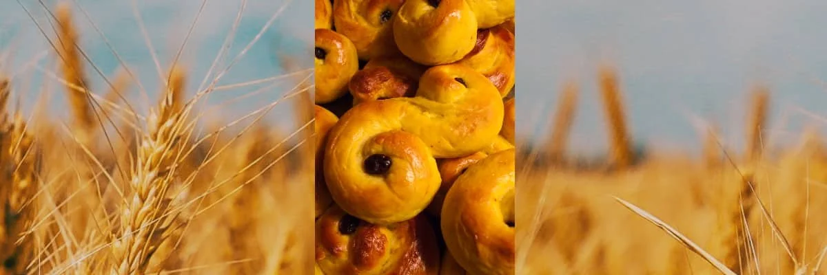 Spaning: Självförsörjning, tuggor, fossilt beroende och helsvenska lussekatter