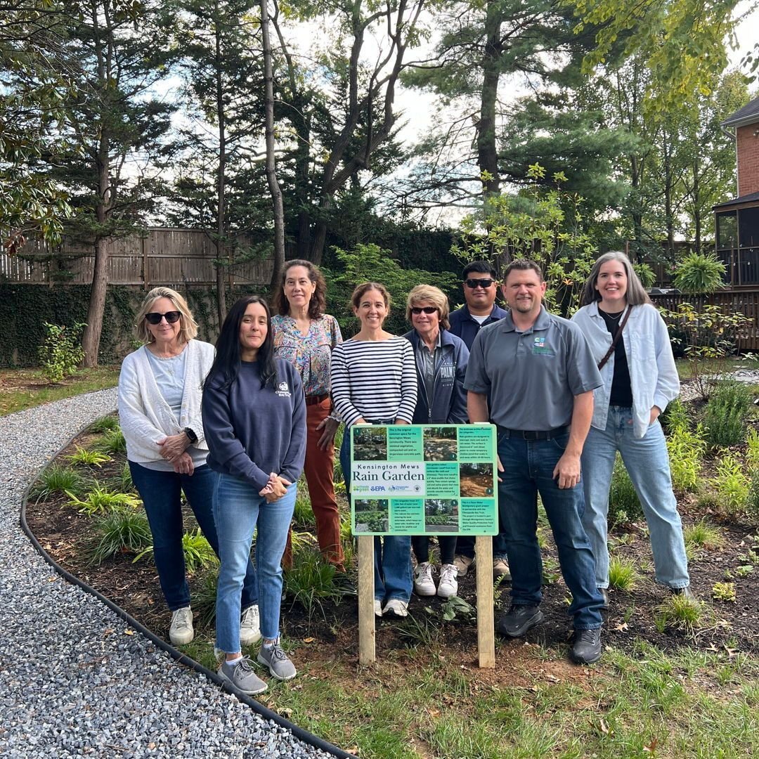 This summer we reached the finish line for the Kensington Mews common area rain garden and site improvements. All of the roof runoff for nine townhouses drained into this HOA's common area and caused soil compaction, erosion, and minor flooding that 