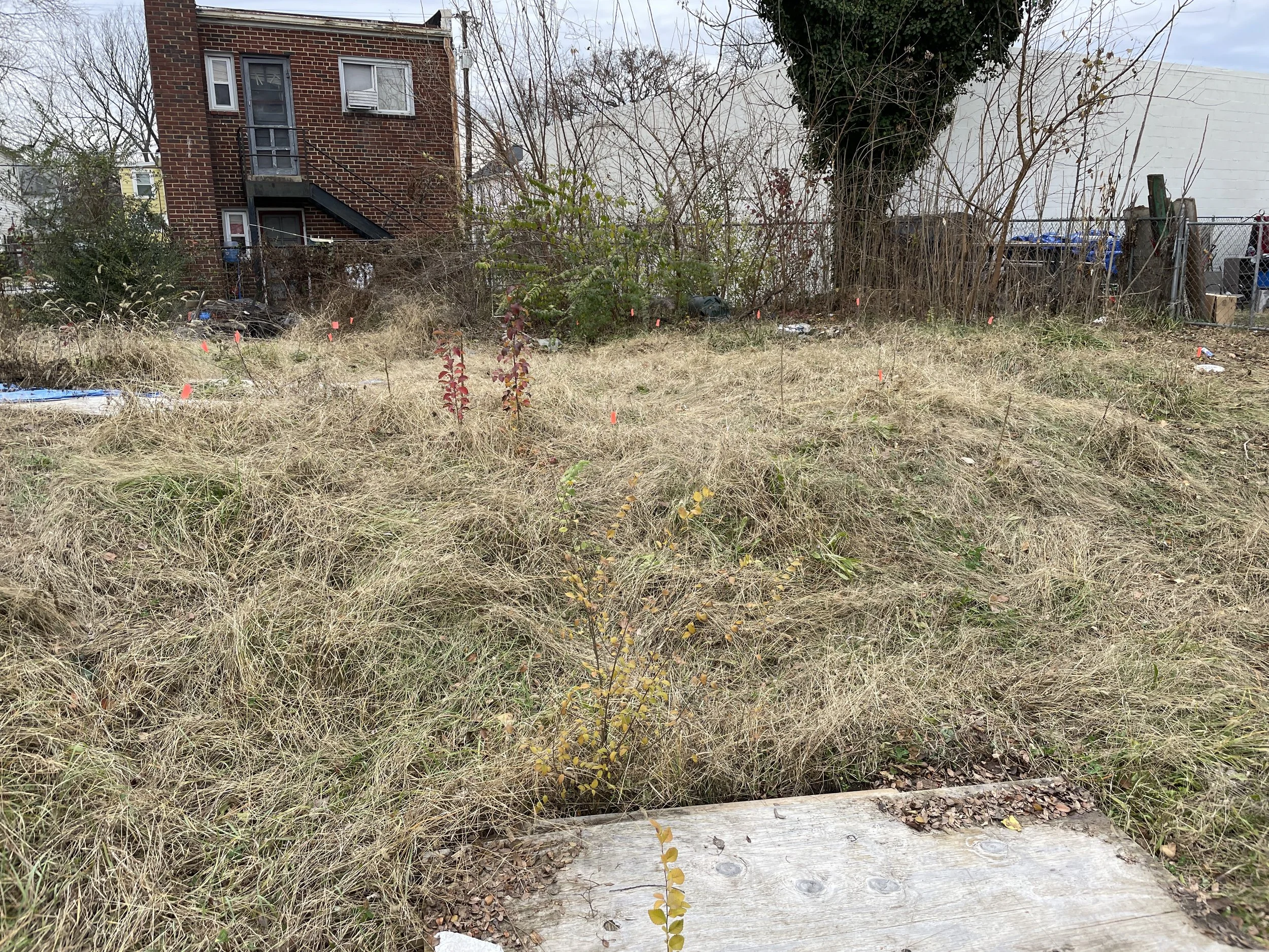 The team worked with UMD's archaeology department to locate the original footprint of the Randall House (marked with pink flags).