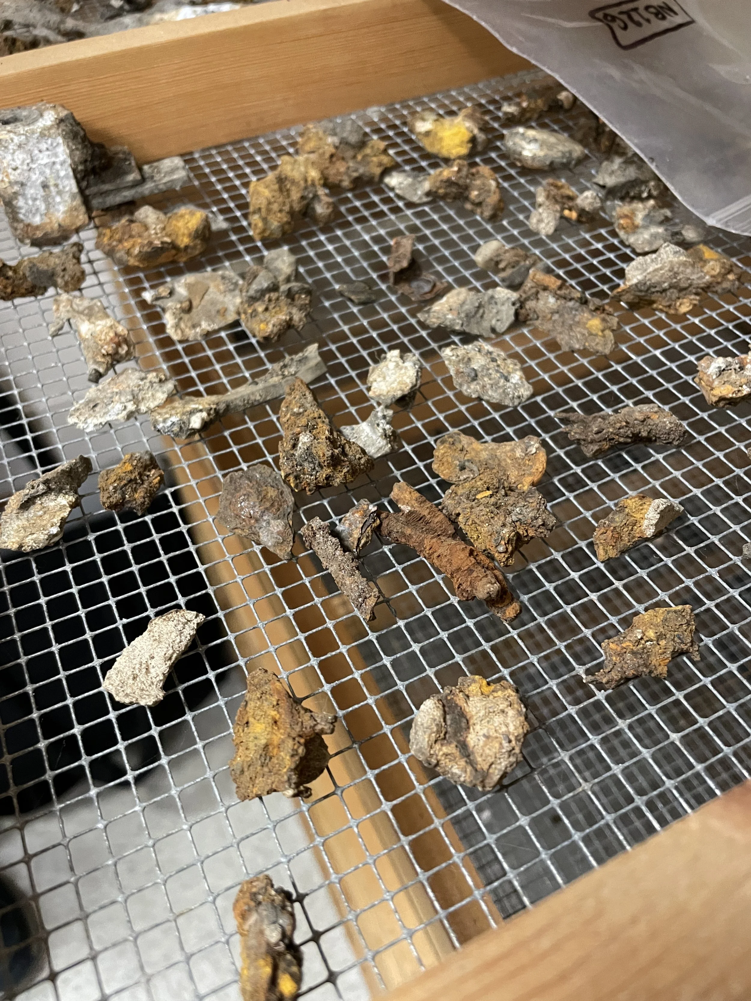 Archaeological fragments from the site stored at the University of Maryland