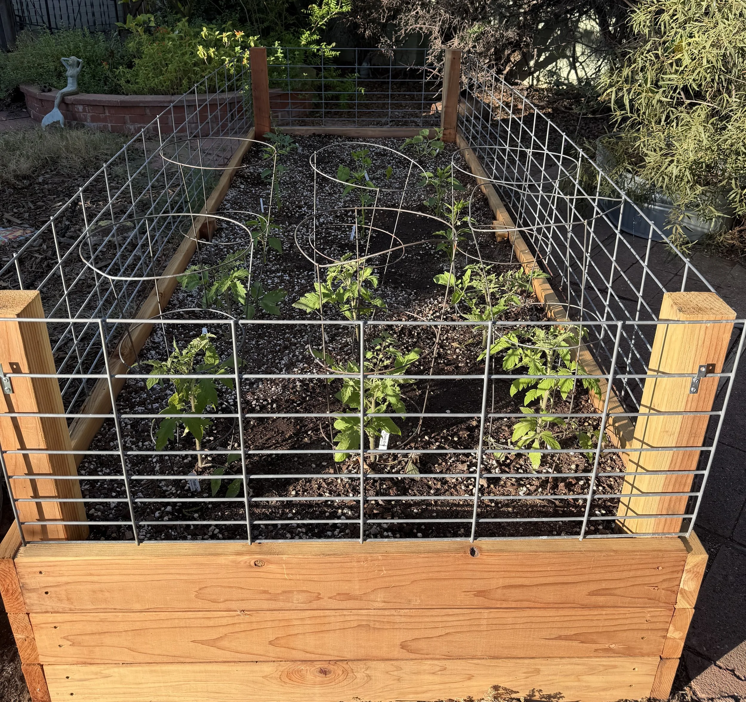School Gardens