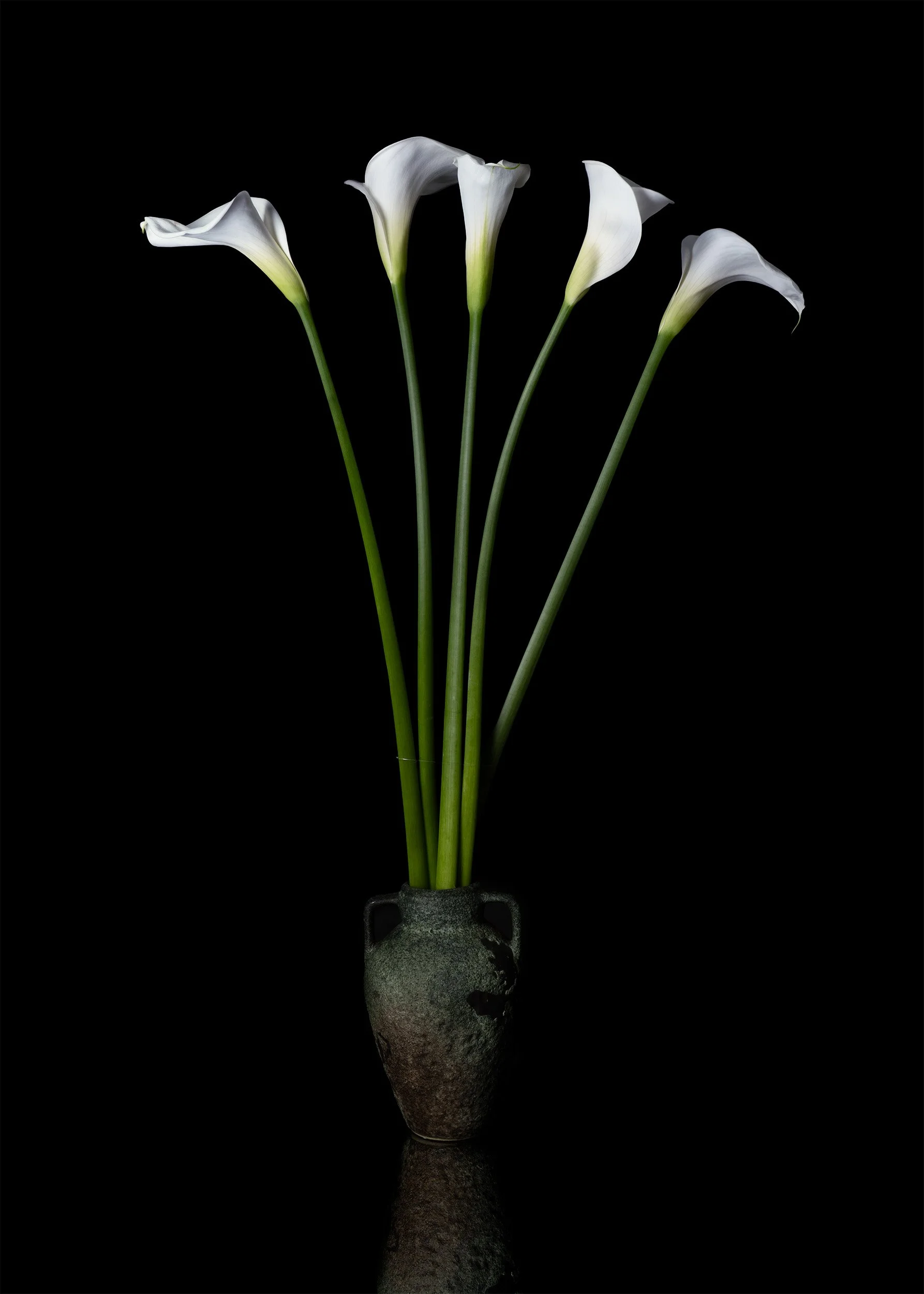 5 lillies in a vase.jpg