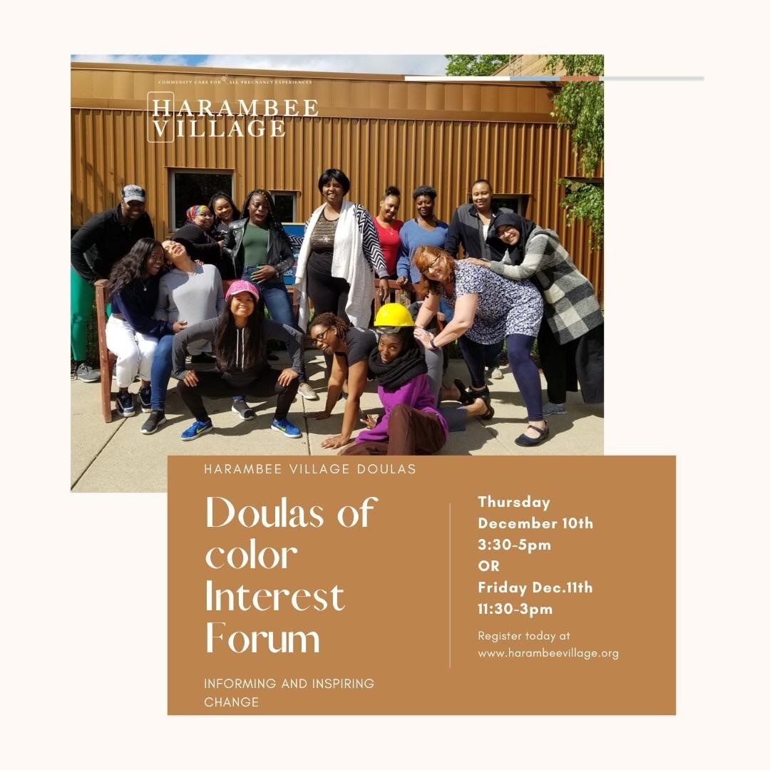 Want to join the mission? For all interested potential Doulas of color! Join us virtually to learn more about Harambee Village, our mission, and what to expect during our 2021 Doula training. 
Our next meet and Greet has two options to register, Thur