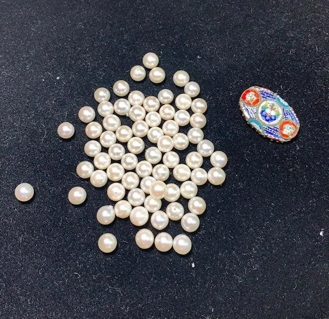 Lori bellan pin and pearls before.jpg