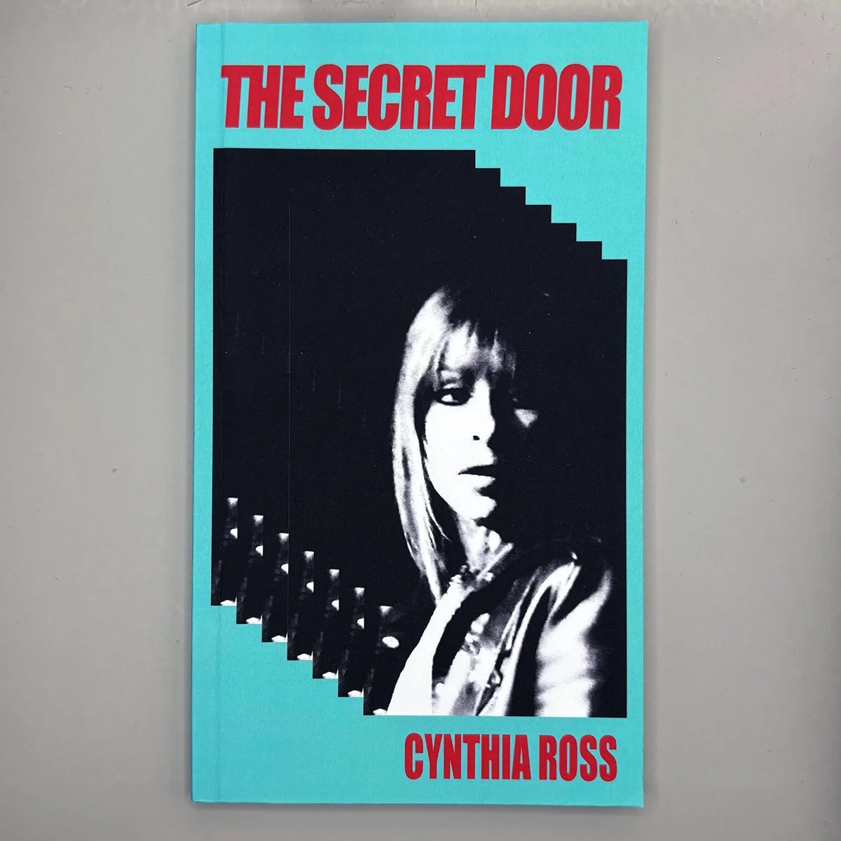 The Secret Door | Cynthia Ross
