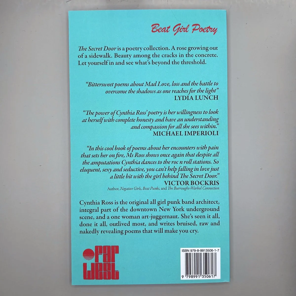 the-secret-door-far-west-back-cover.jpg