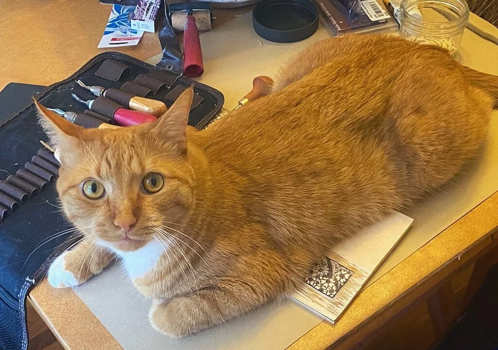 The real MVP with my latest woodblock carving project 💛 

He encouraged breaks to rest my hands and wrists &mdash; and to pet him instead.

#HappyCaturday