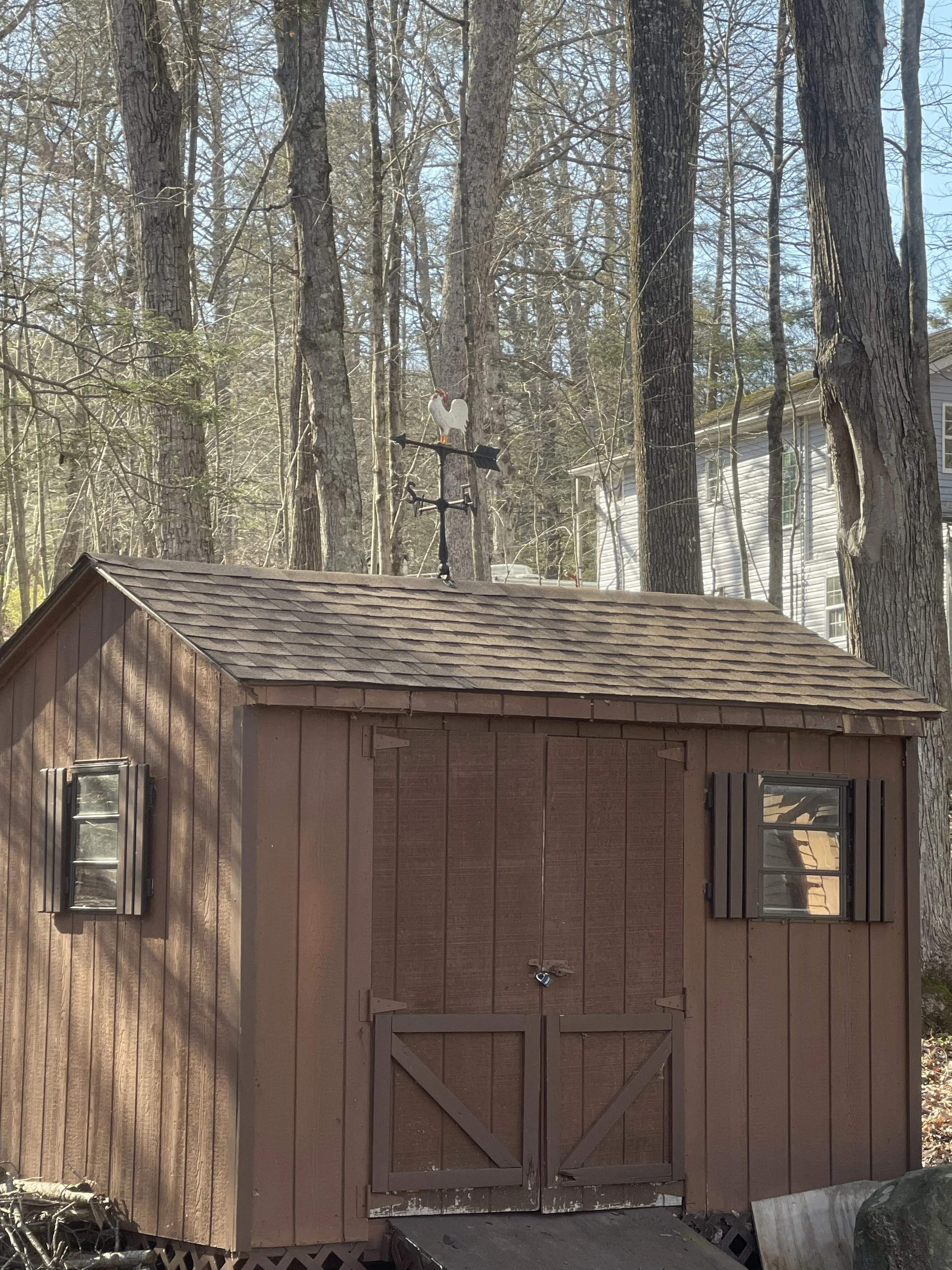 Shed Roof Reshingled