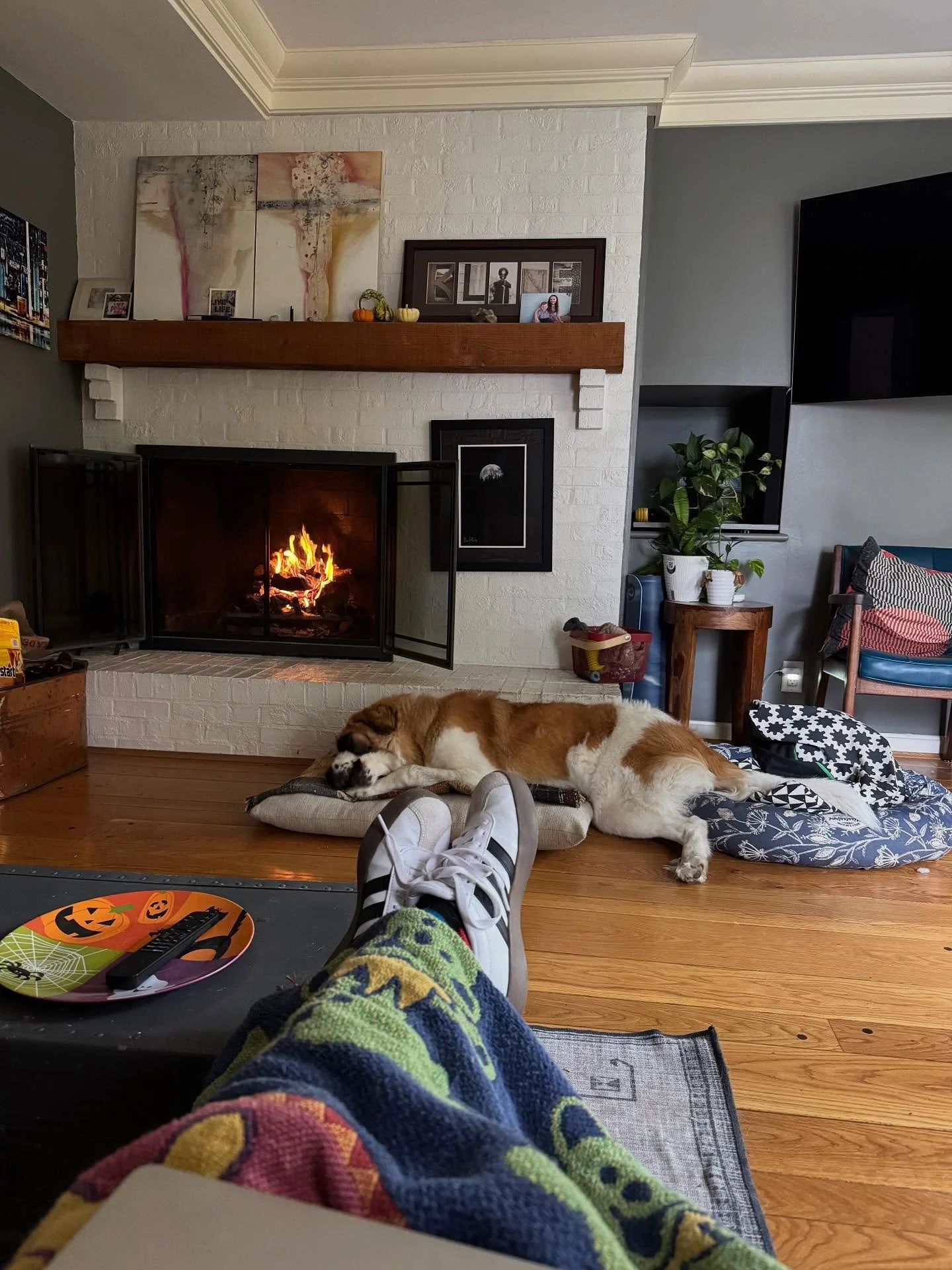 No wet soap today, just a fire and some pretty flowers (I won my tubers from @westwindflowerfarm )

#cozyvibes #takinabreak