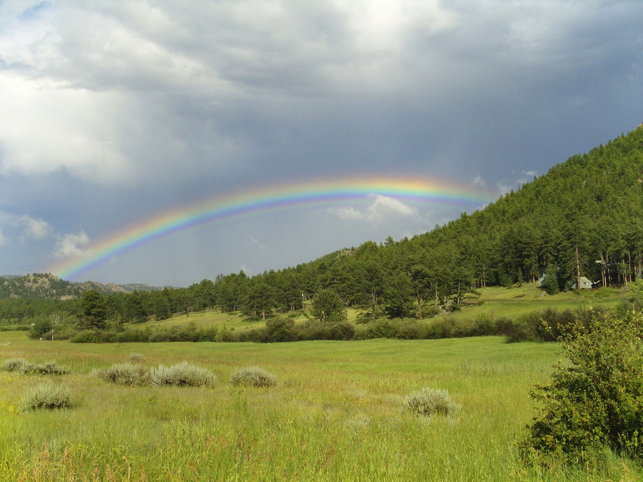 Reconnecting with Our Elemental Nature