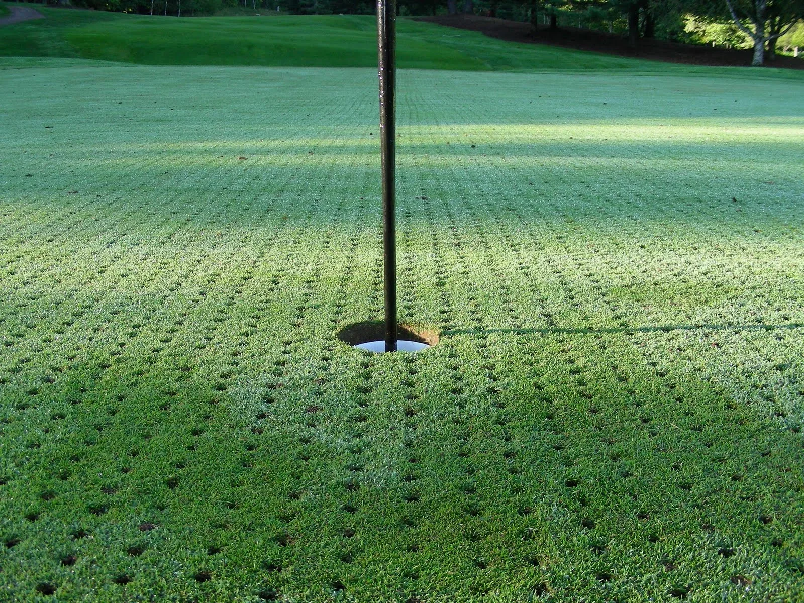 Course Closed - Aerification
